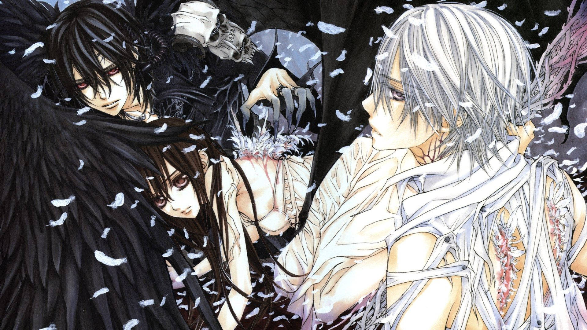 Vampire Knight, white feathers, dark wings, Full HD Desktop Wallpaper