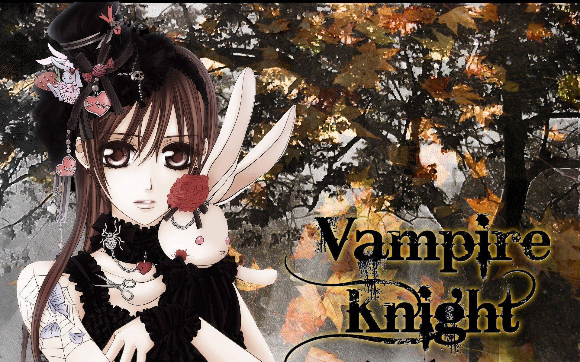 Vampire Knight, bunny ears, black lace, Full HD Desktop Wallpaper