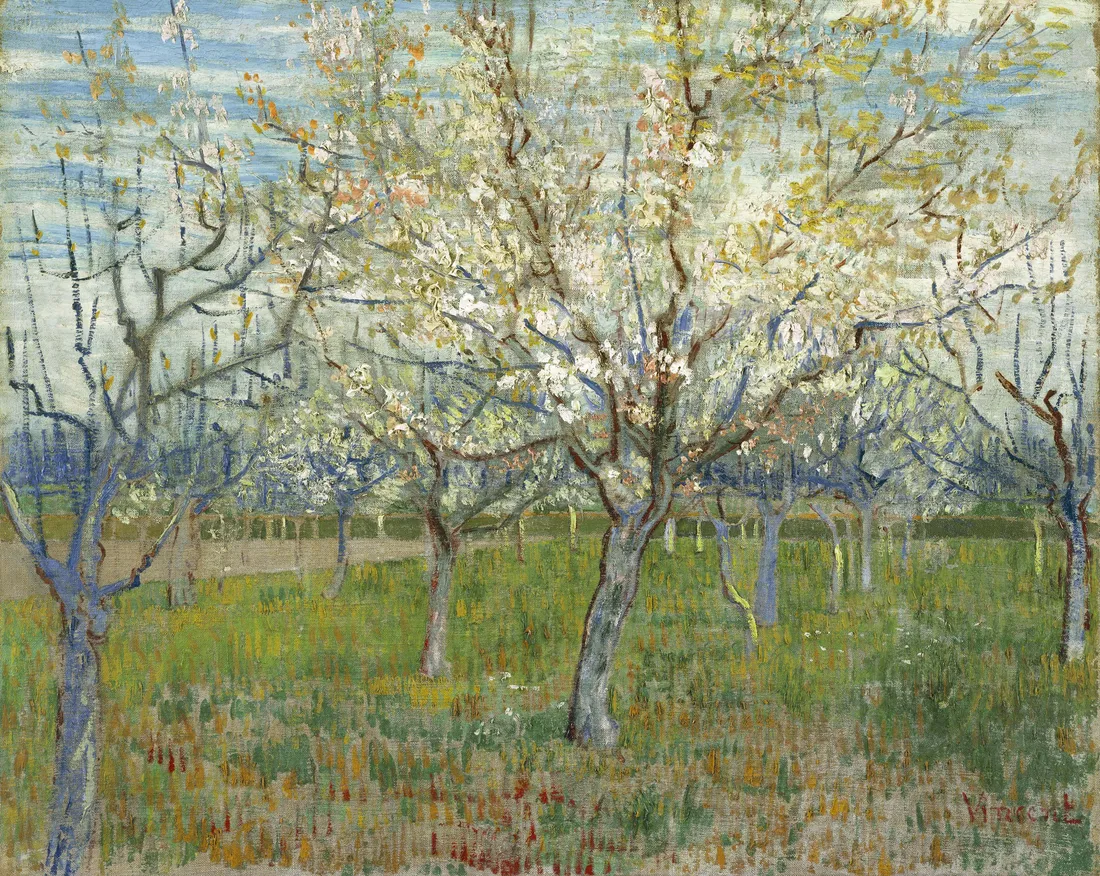 Van Gogh Almond Blossoms