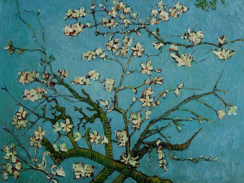 Van Gogh Almond Blossoms, almond blossoms, white flowers, SD Desktop Wallpaper