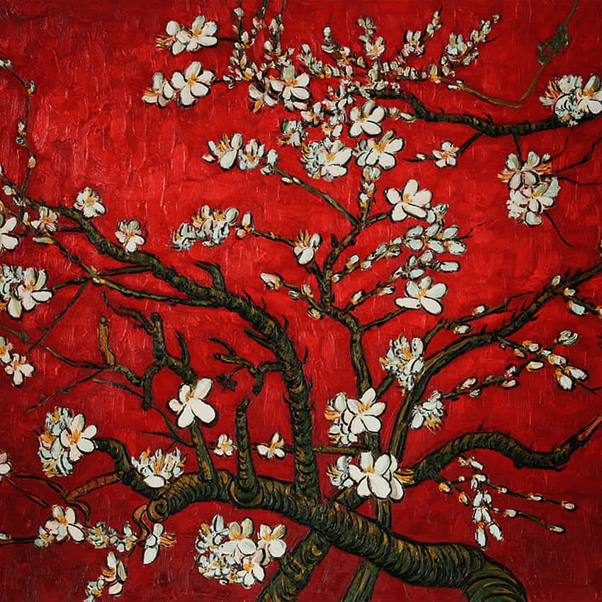 Van Gogh Almond Blossoms, almond blossoms, white flowers, SD Desktop Wallpaper