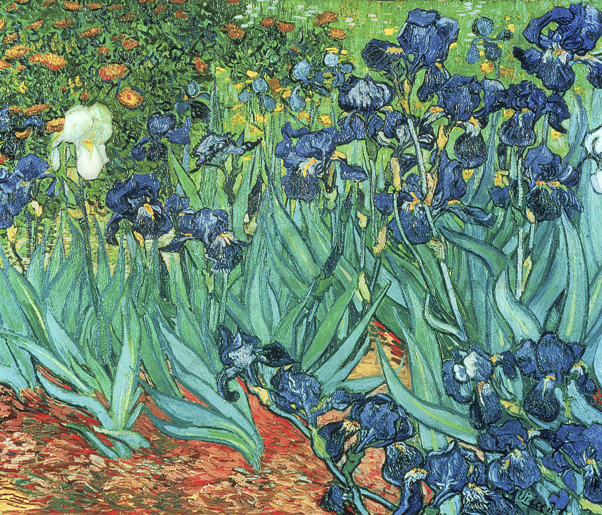 Van Gogh, almond blossoms, vibrant blue, Full HD Desktop Wallpaper