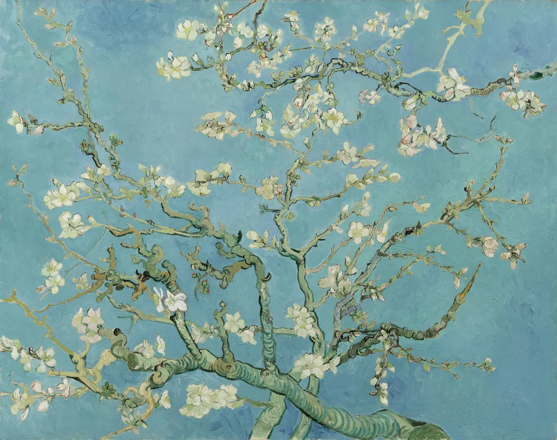 Van Gogh Starry Night