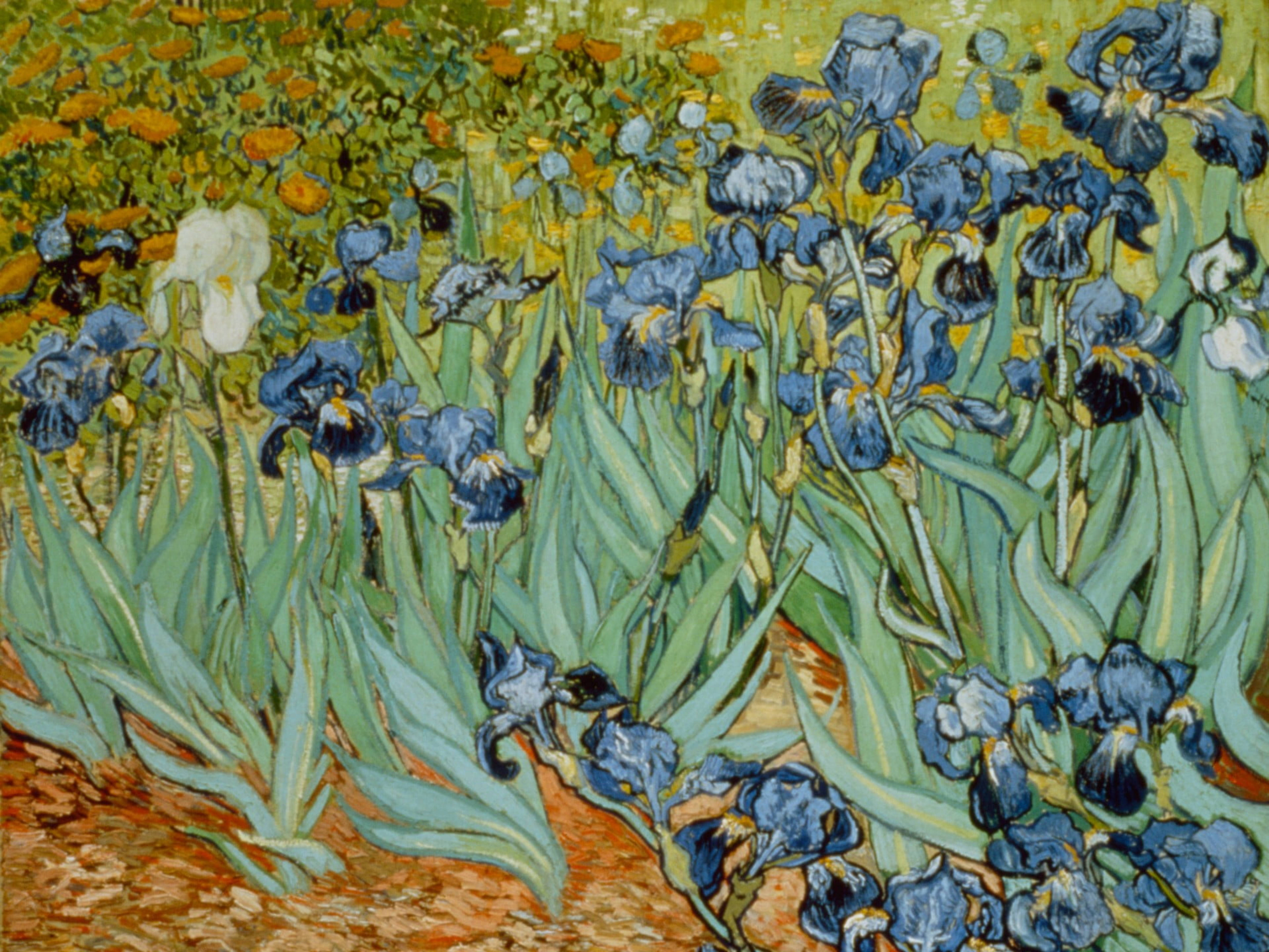 Van Gogh, irises, blue, 5K Desktop Wallpaper