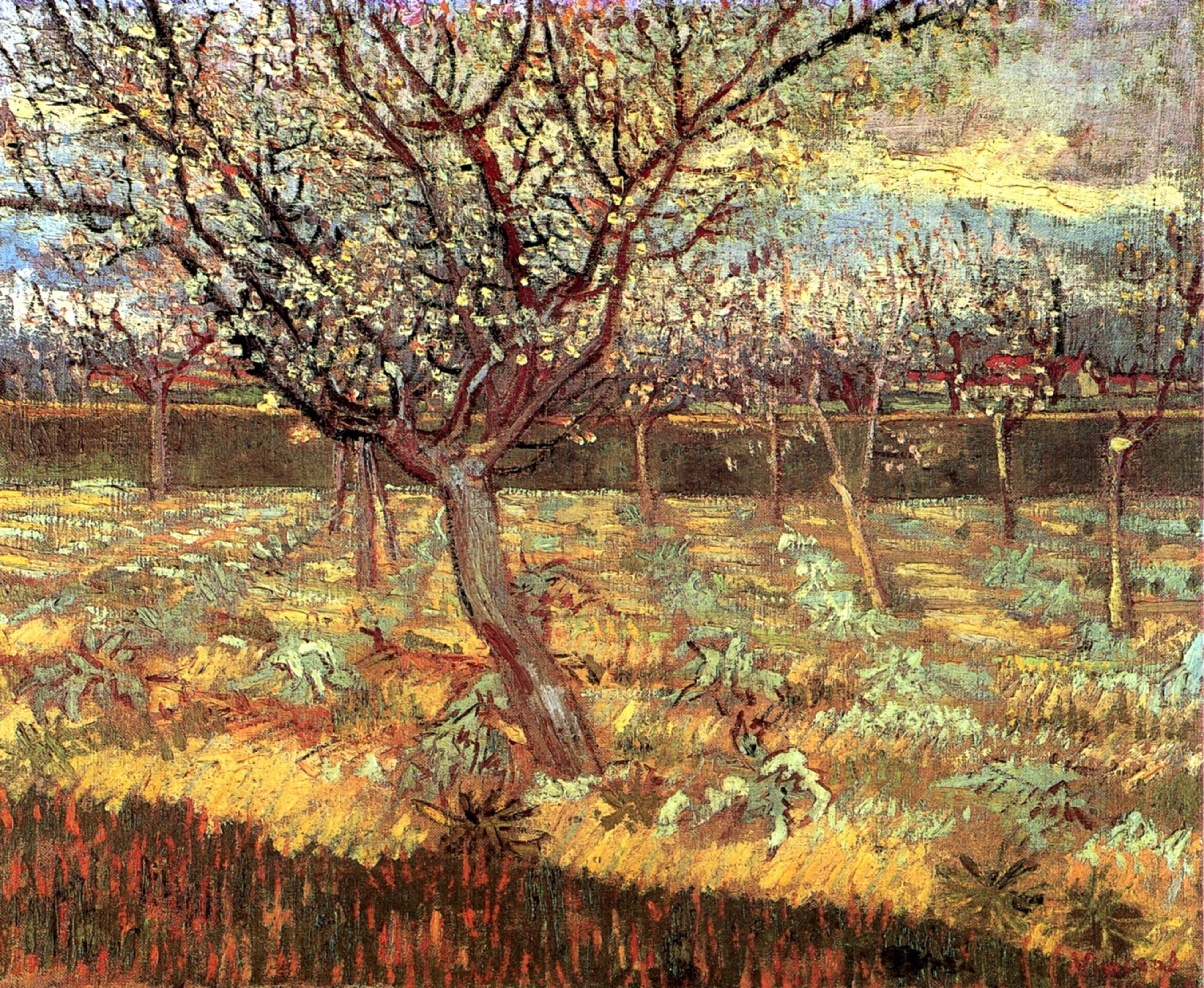 Van Gogh, apricot trees in blossom, almond trees, 5K Desktop Wallpaper