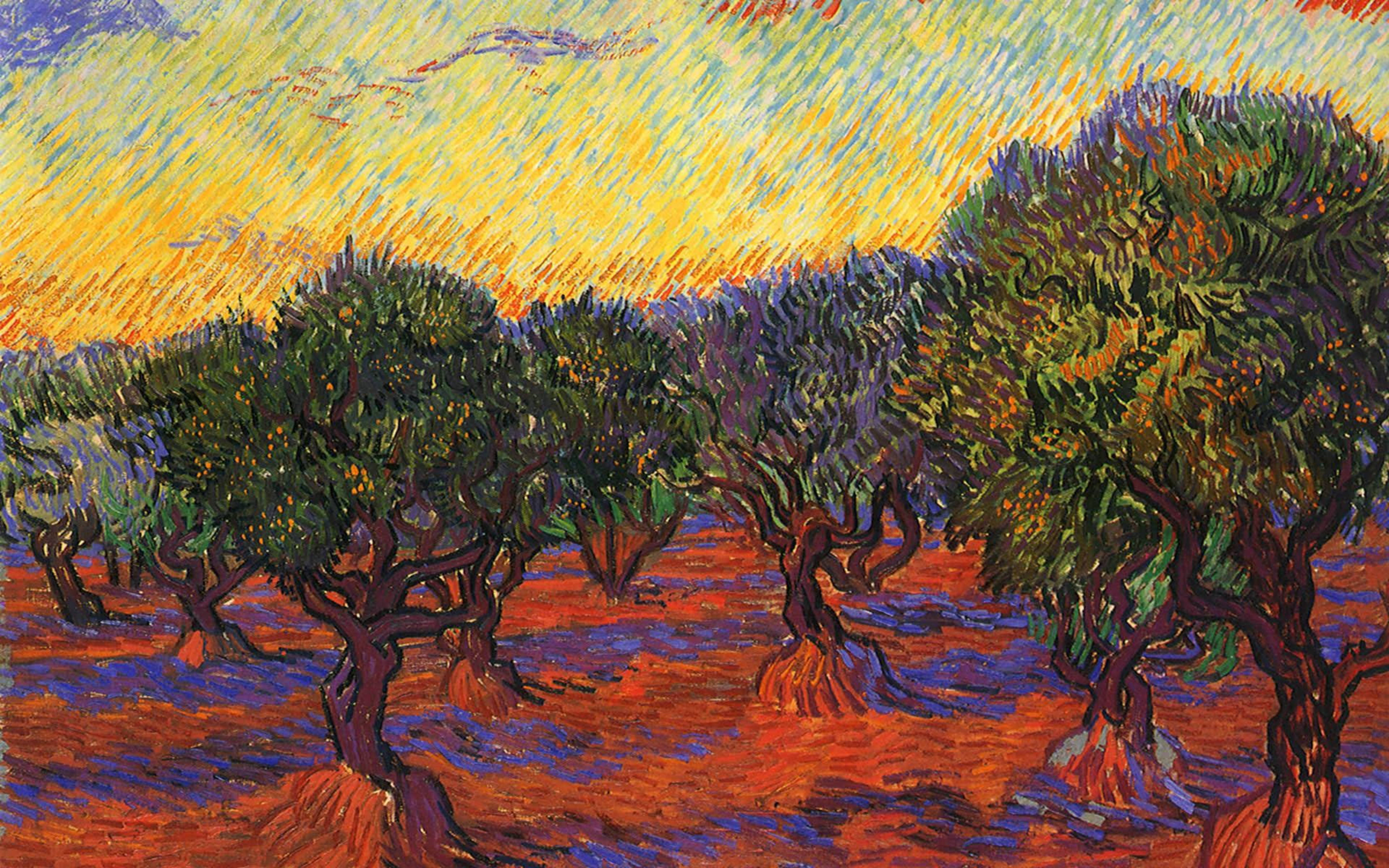 Van Gogh, olive grove, orange sky, 5K Desktop Wallpaper