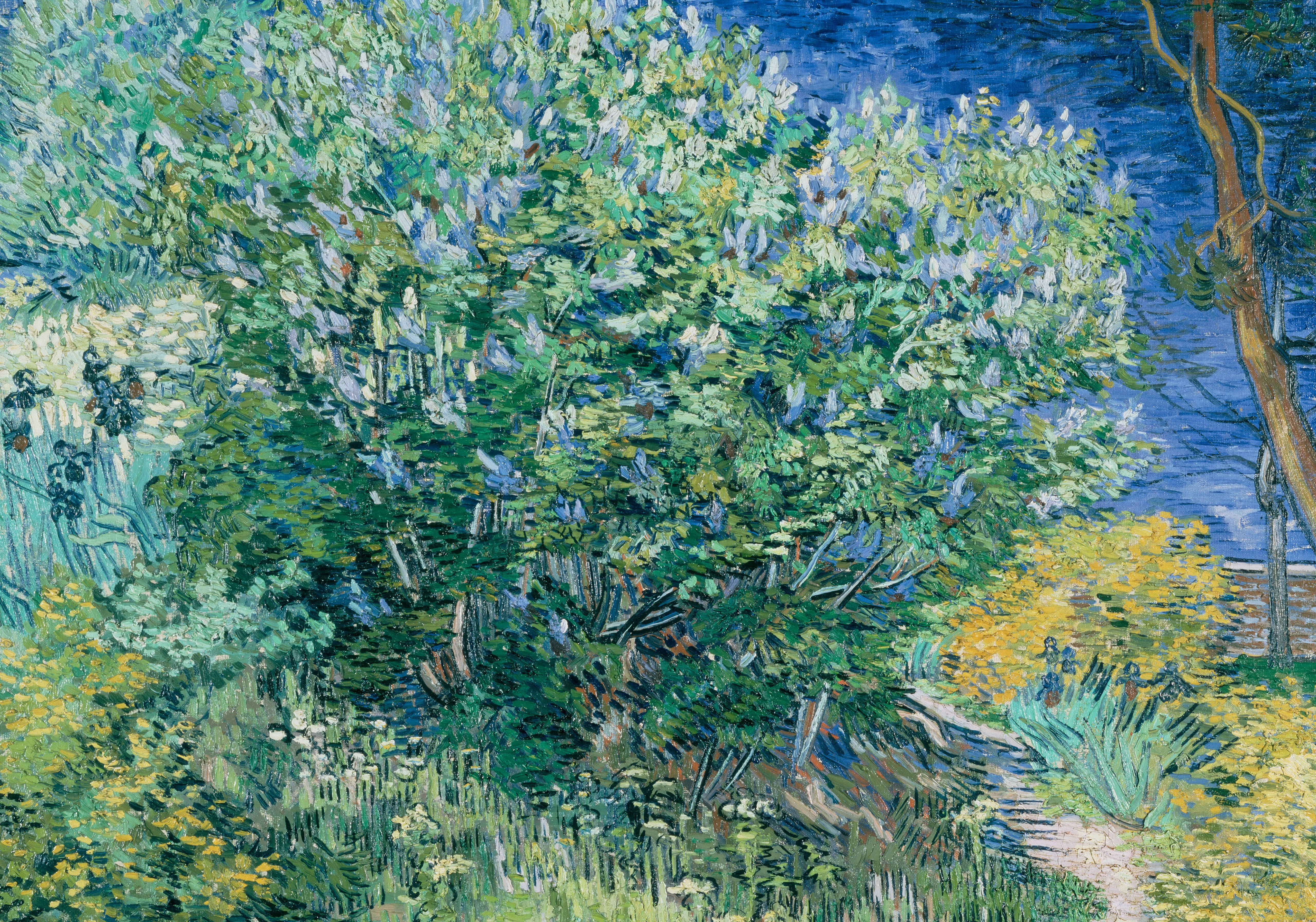 Van Gogh, lilac bush, impressionist painting, 5K Desktop Wallpaper