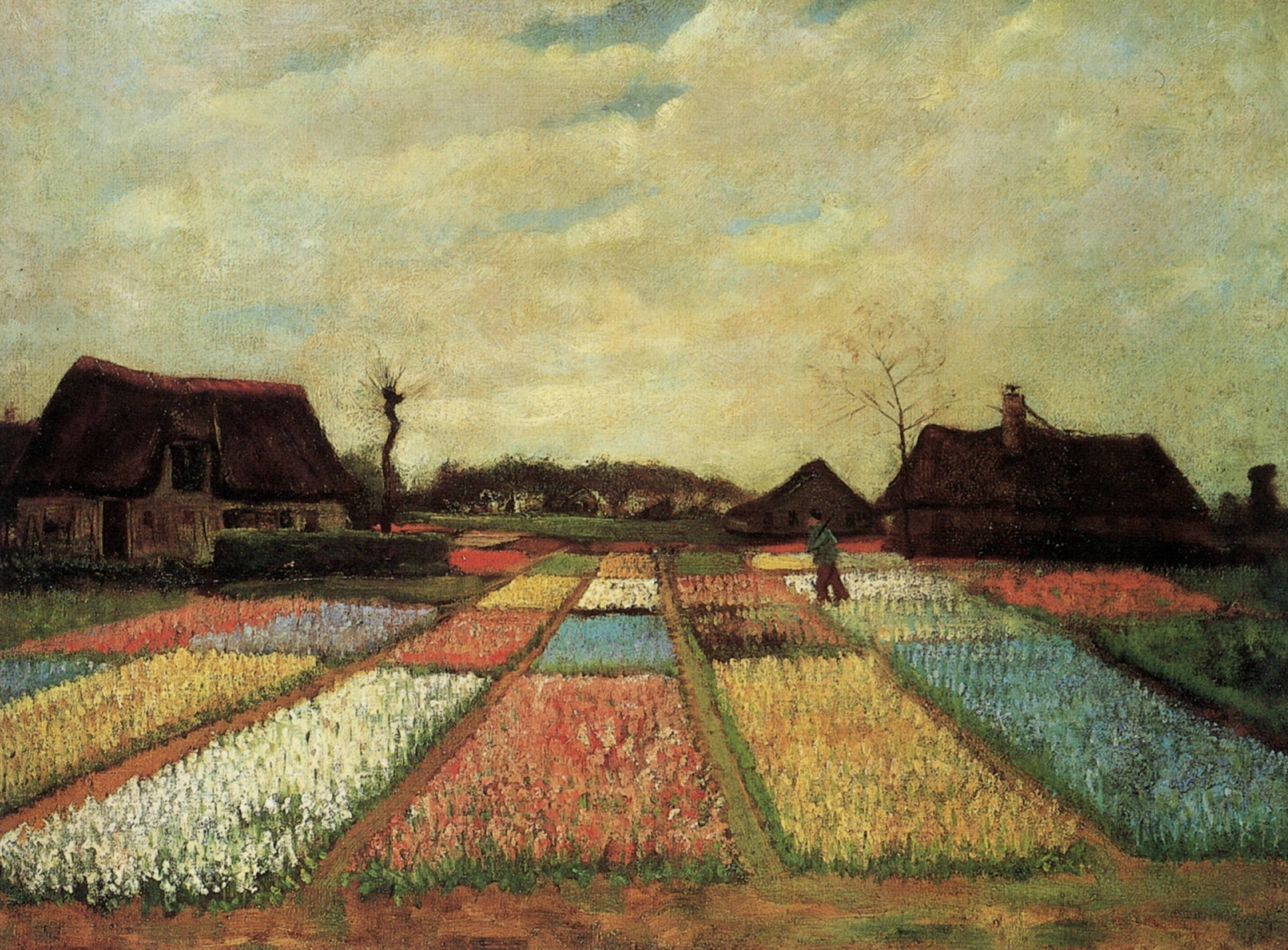 Van Gogh, tulip fields, neat rows, 5K Desktop Wallpaper
