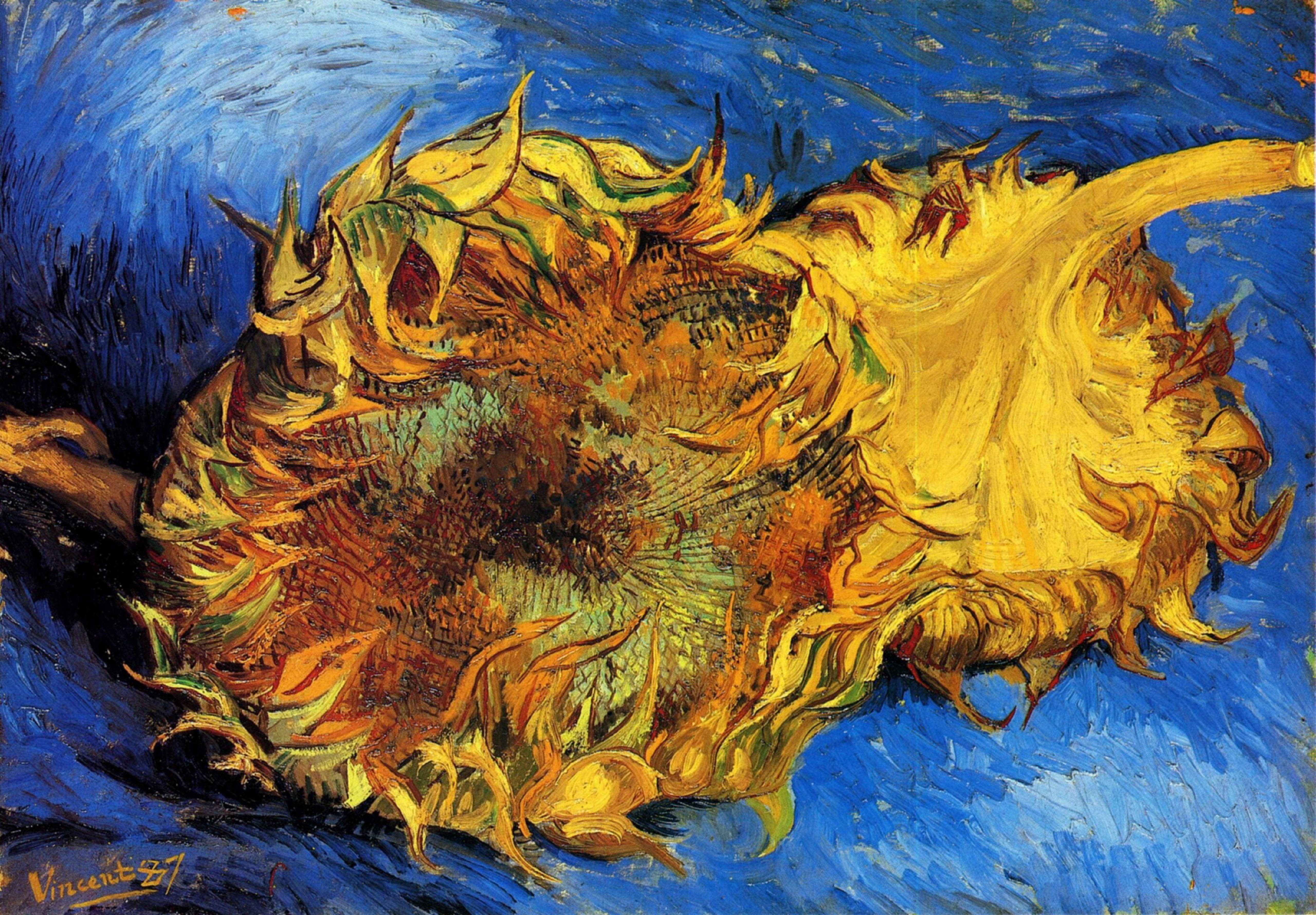 Van Gogh, two cut sunflowers, bold yellow petals, 5K Desktop Wallpaper