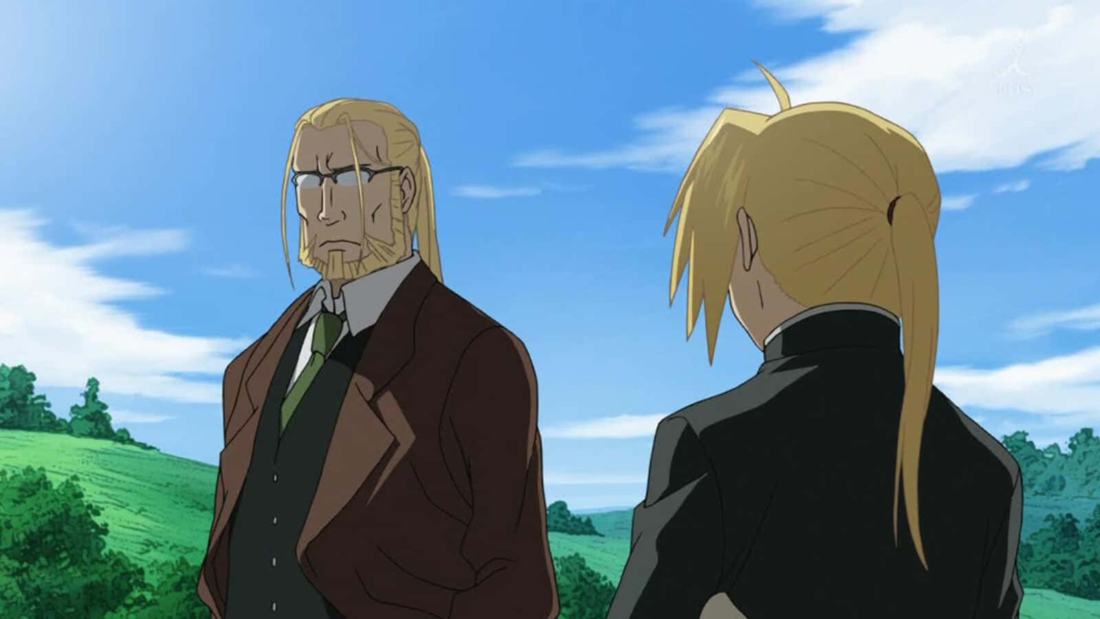 Van Hohenheim, blonde hair, bright green field, HD Desktop Wallpaper