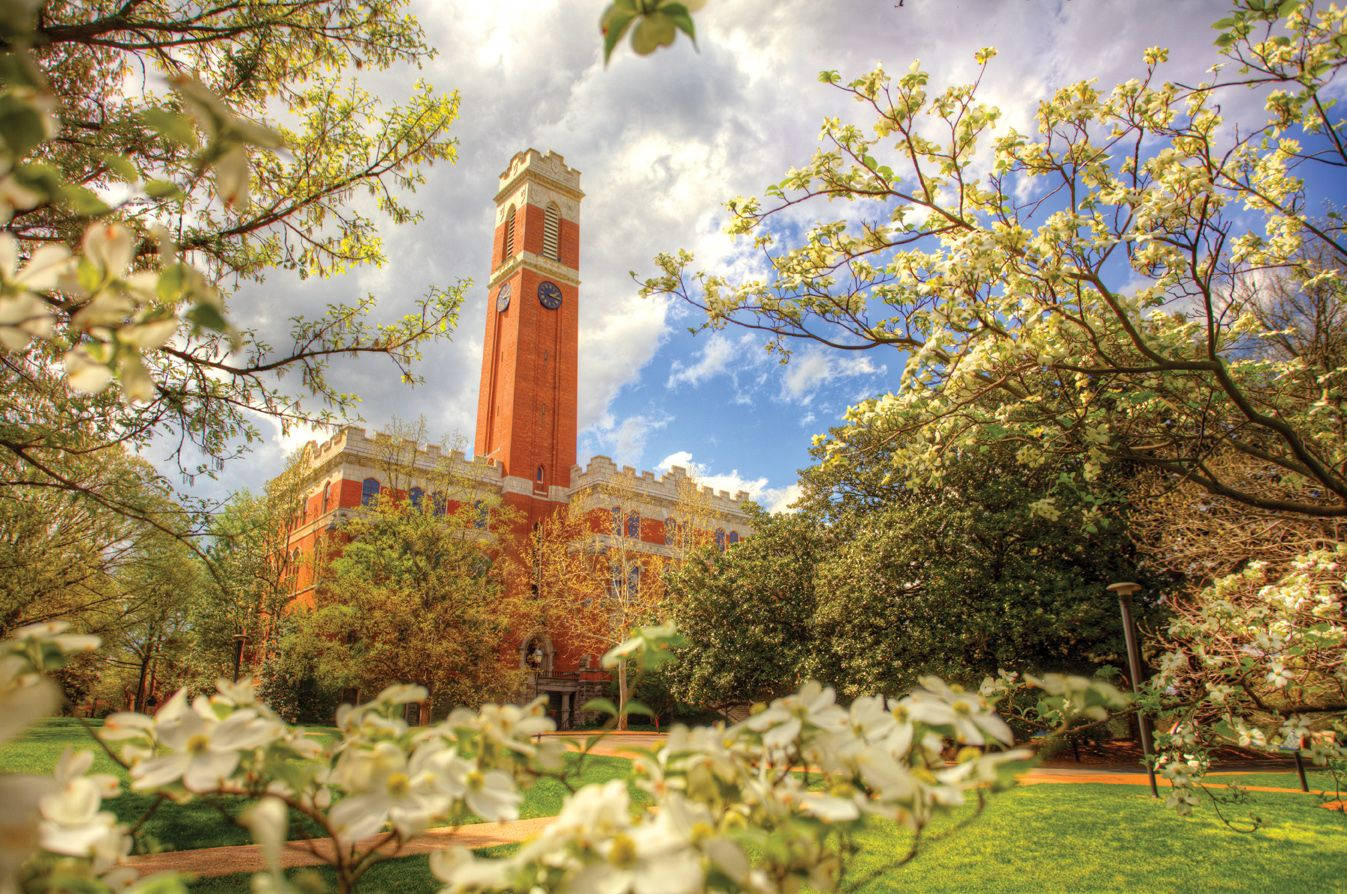 Vanderbilt University, red brick university tower, white dogwood trees, HD Desktop Wallpaper