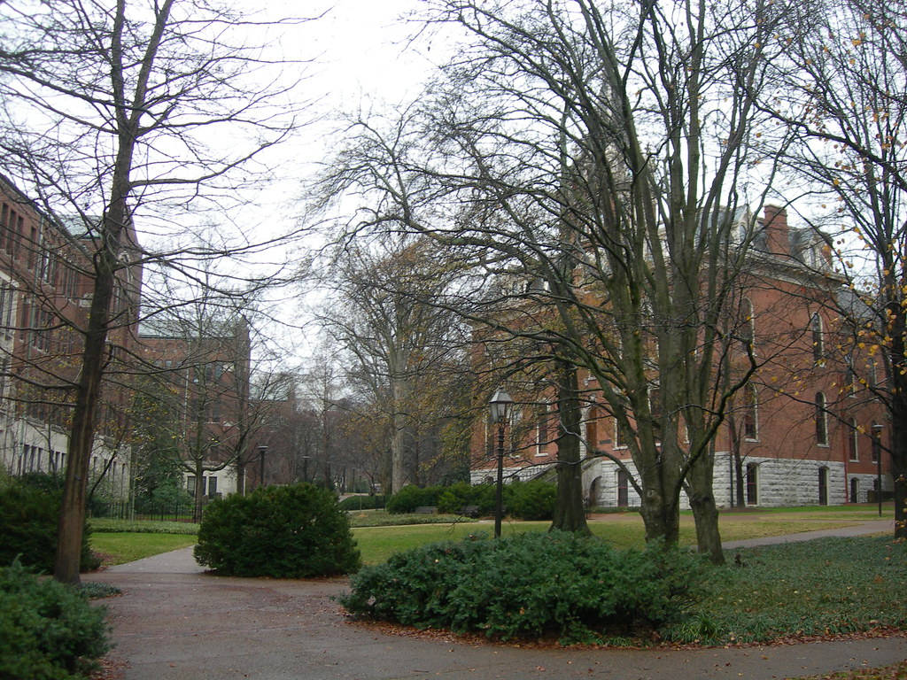 Vanderbilt University, bare trees, green shrubs, SD Desktop Wallpaper