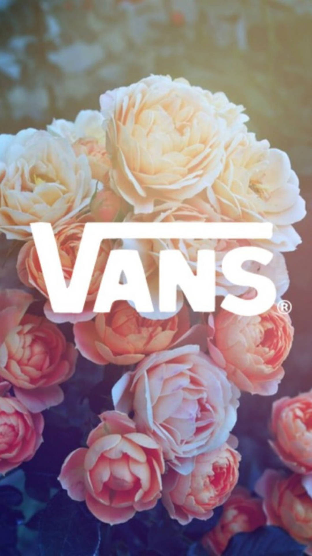 Vans logo, peach, cream, Full HD Phone Wallpaper