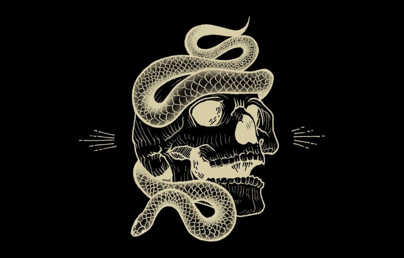 Vantablack, 1410 x 900, cream-colored skull, HD Desktop Wallpaper