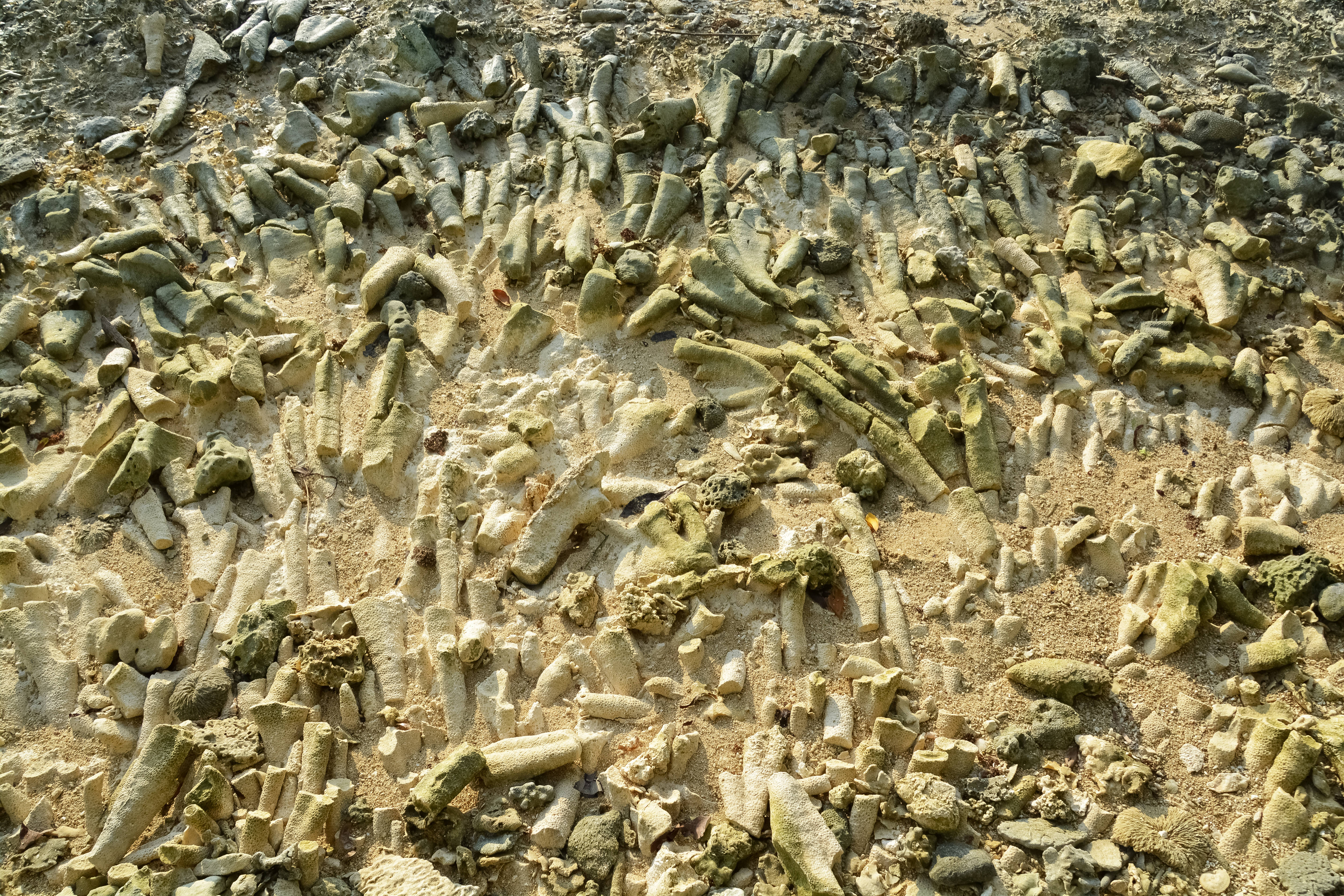 Vanuatu, small limestones, weathered concrete fragments, 5K Desktop Wallpaper