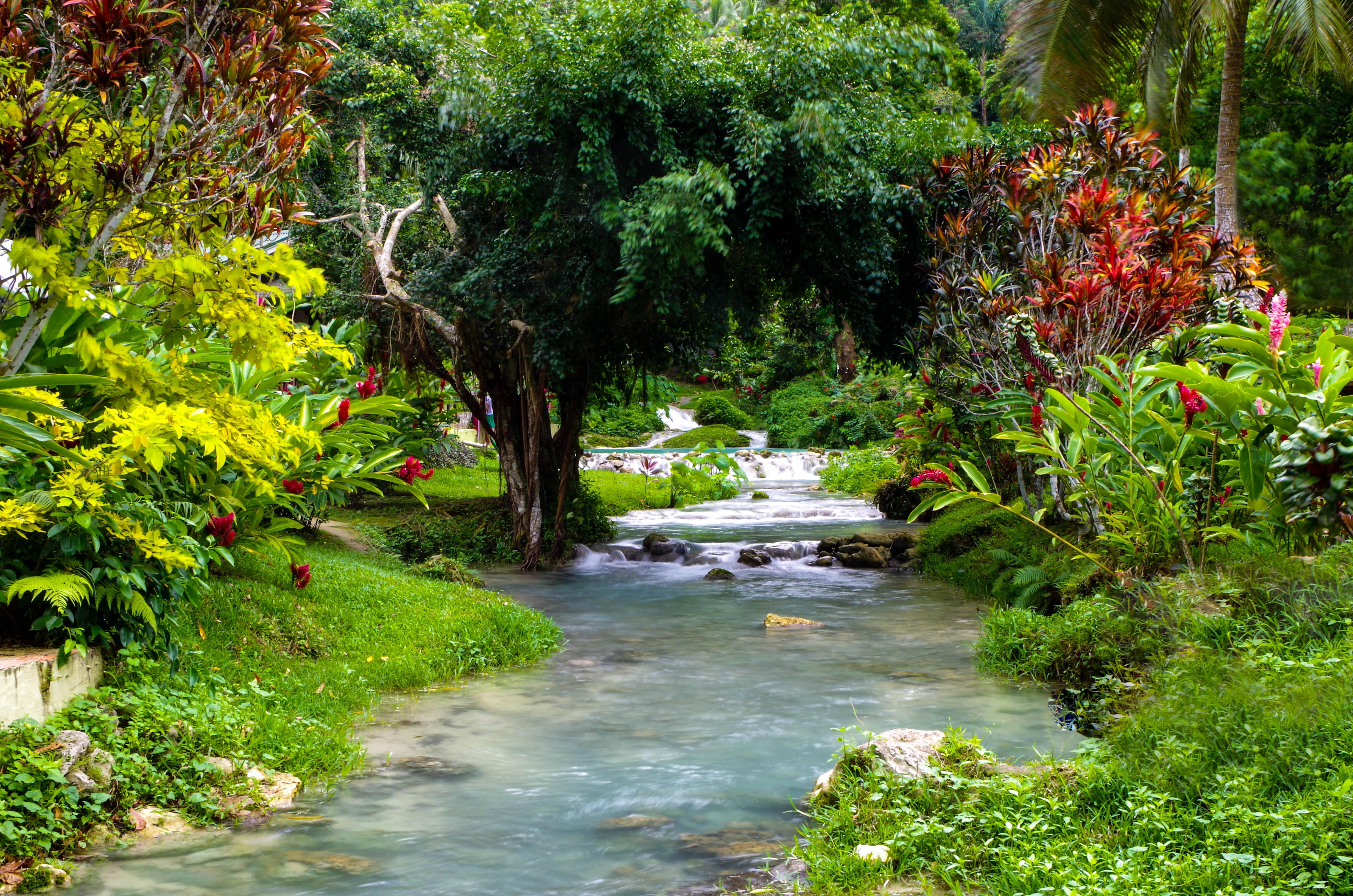 Vanuatu, stream, tropical garden, 4K Desktop Wallpaper