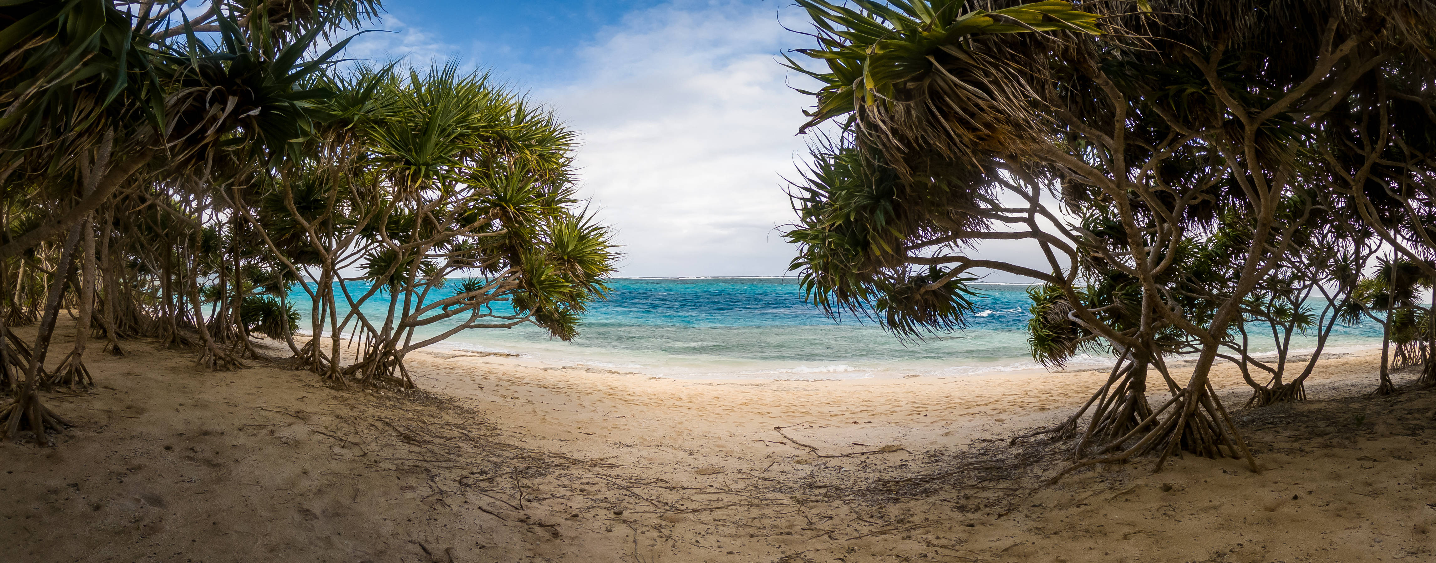 Vanuatu, mangrove tides, sandy beach, 4K Desktop Wallpaper