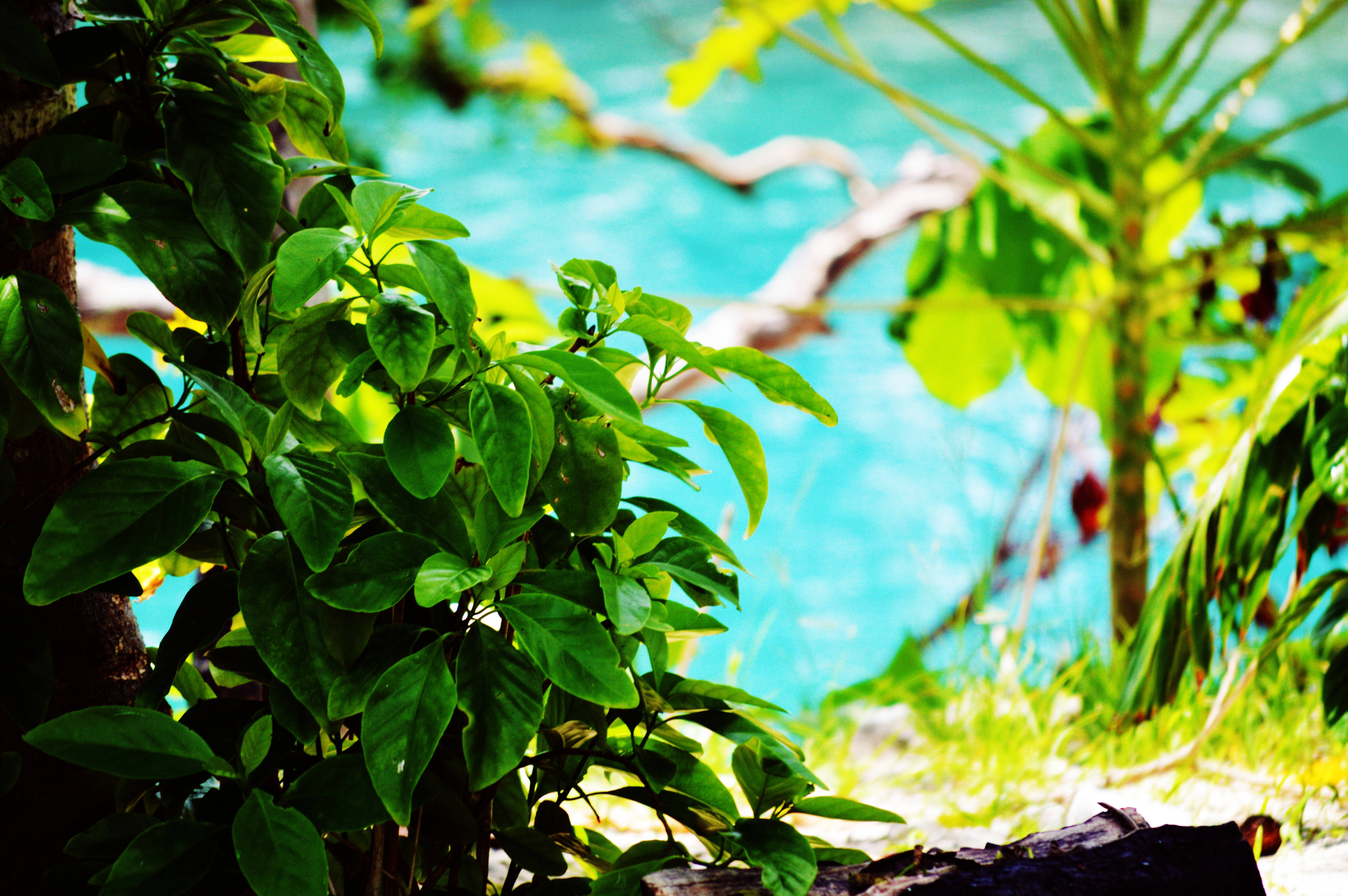 Vanuatu, blue lagoon, turquoise ocean, 5K Desktop Wallpaper