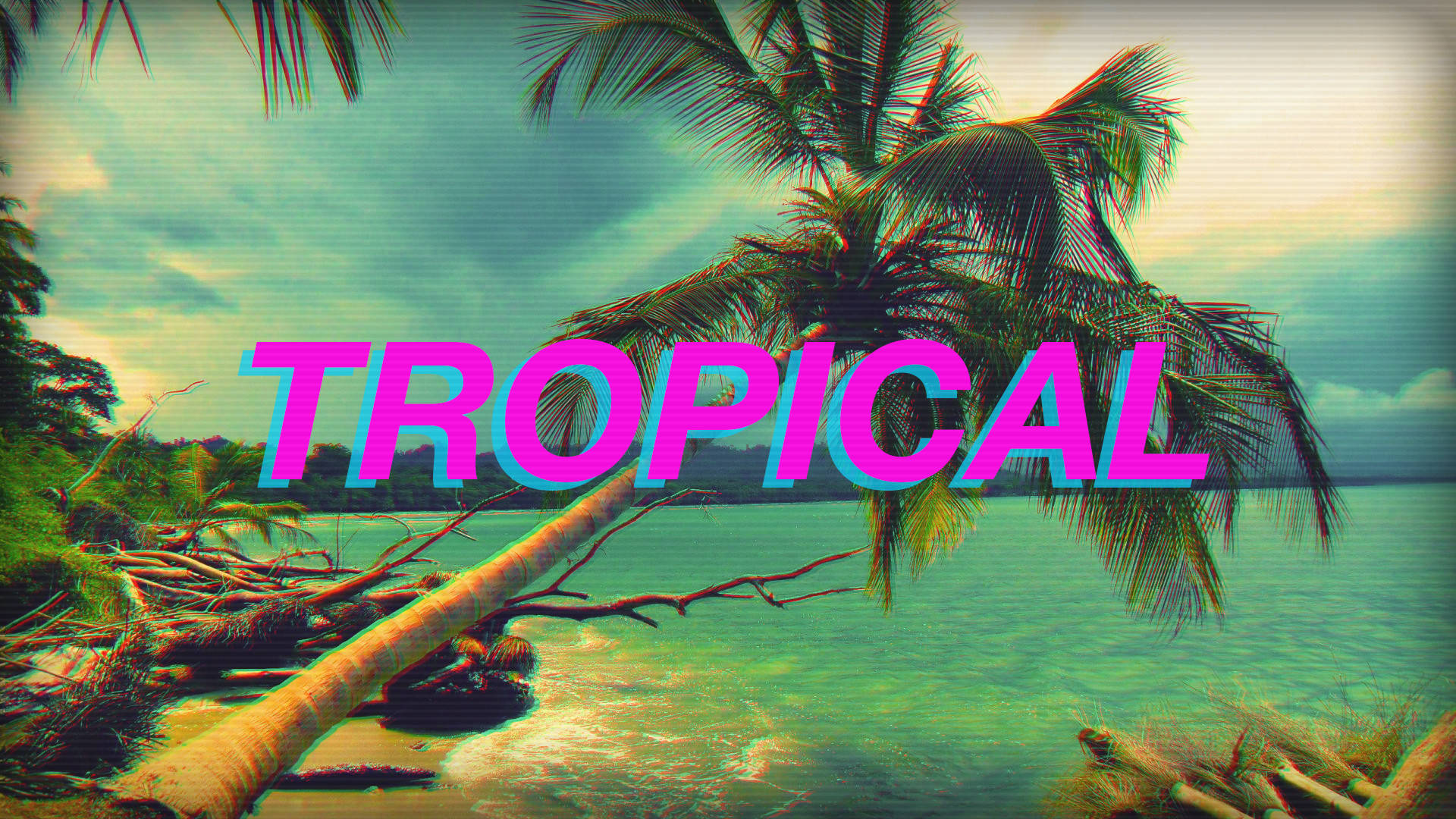 tropical beach, palm trees, turquoise water, Full HD Desktop Wallpaper