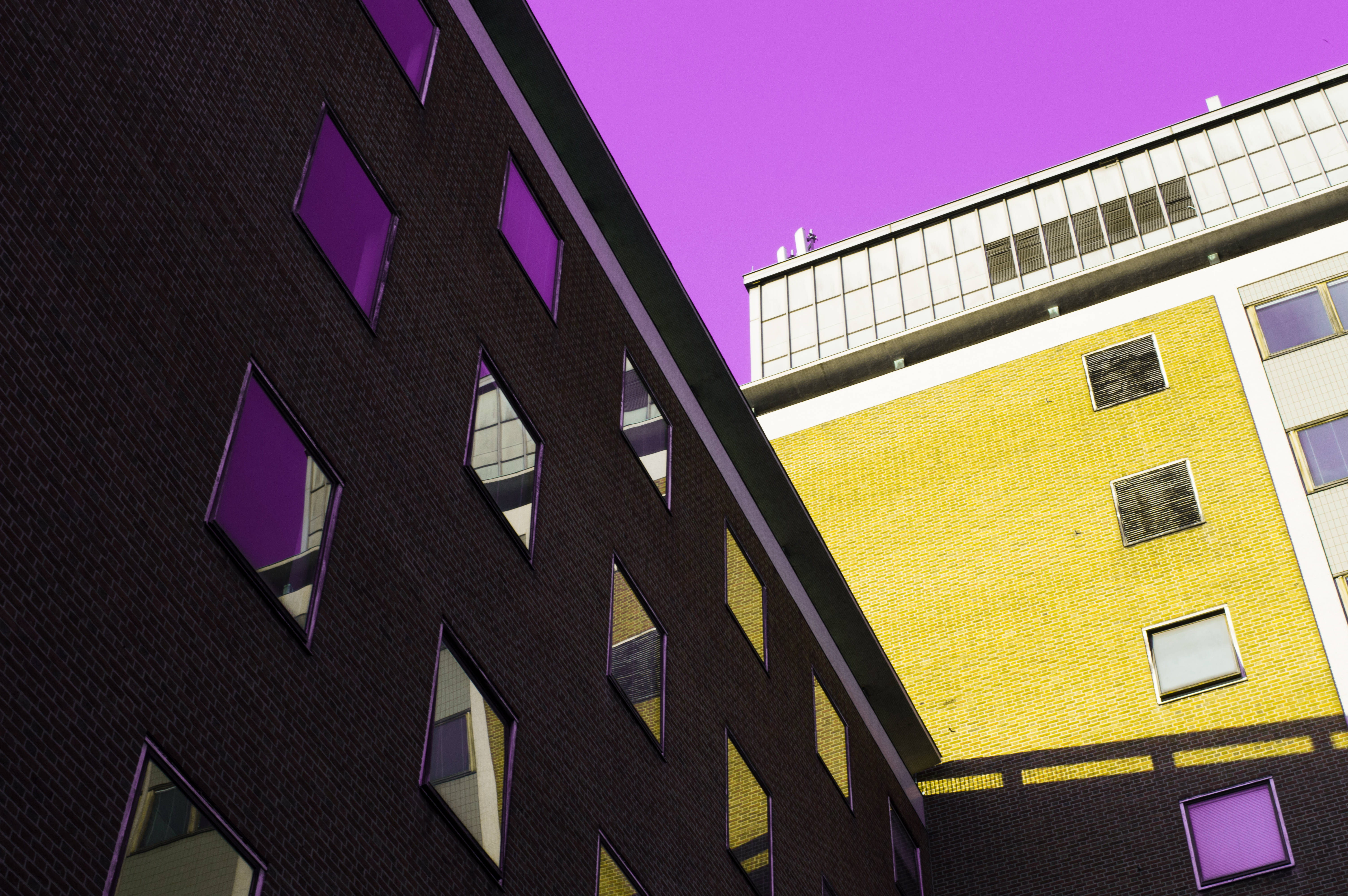 retro vaporwave dreamscape, dark brick, purple windows, 5K Desktop Wallpaper