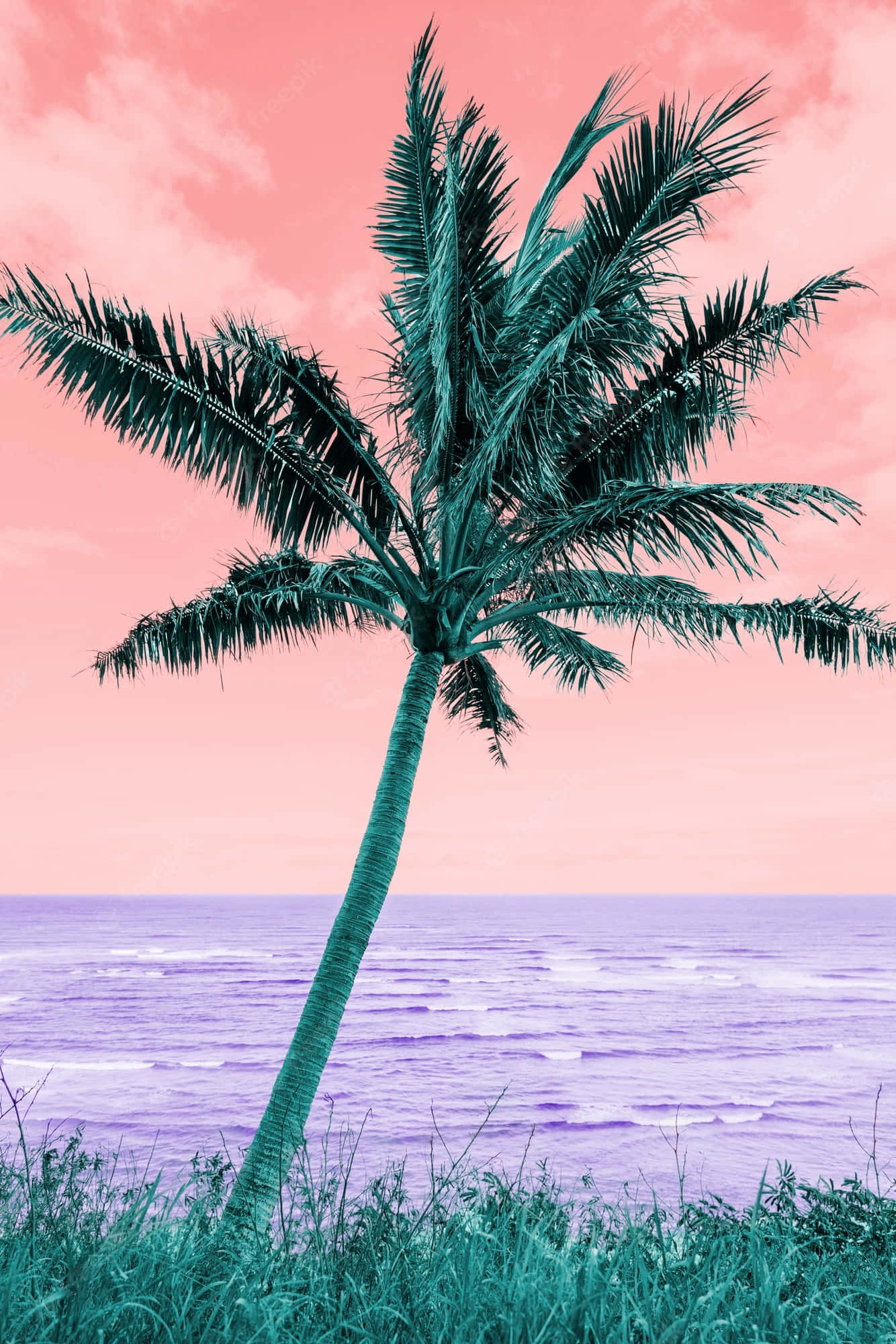 teal palm tree, surreal pink sky, purple ocean, Full HD Phone Wallpaper