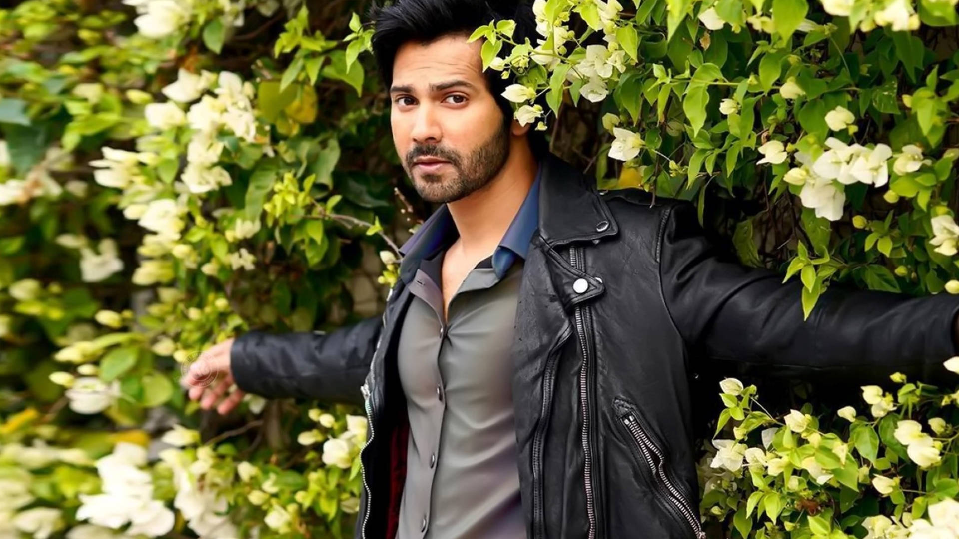 Varun Dhawan, black leather jacket, lush green bush, Full HD Desktop Wallpaper