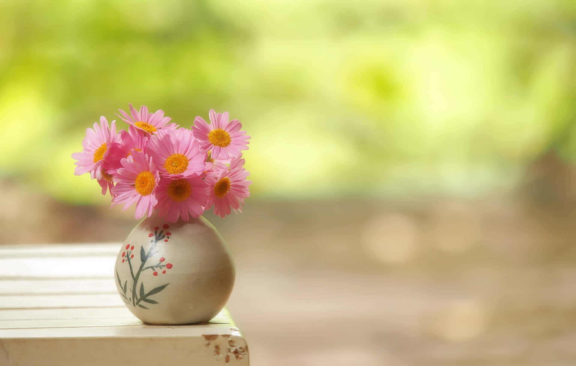 pink daisies, ceramic vase, wooden bench, Full HD Desktop Wallpaper