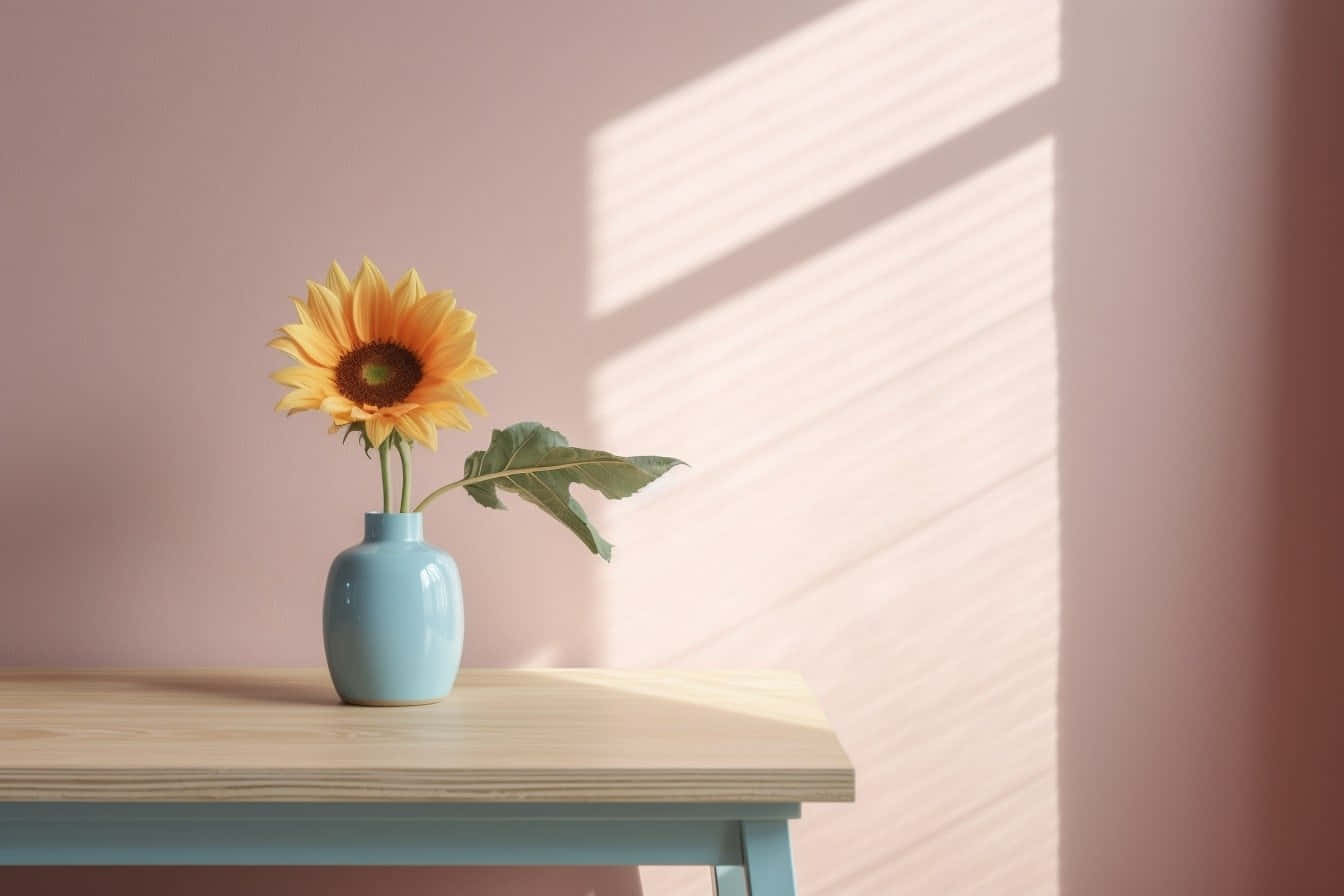 sunflower, light blue vase, wooden table, HD Desktop Wallpaper