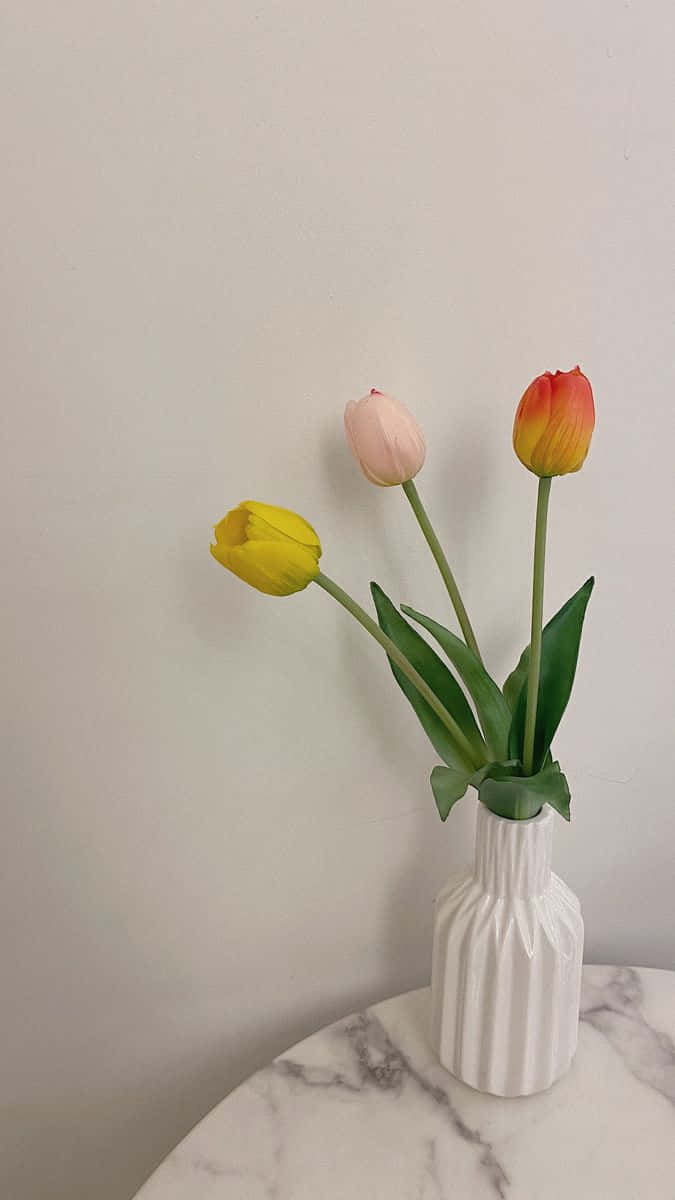 tulips, white ribbed vase, marble surface, SD Phone Wallpaper