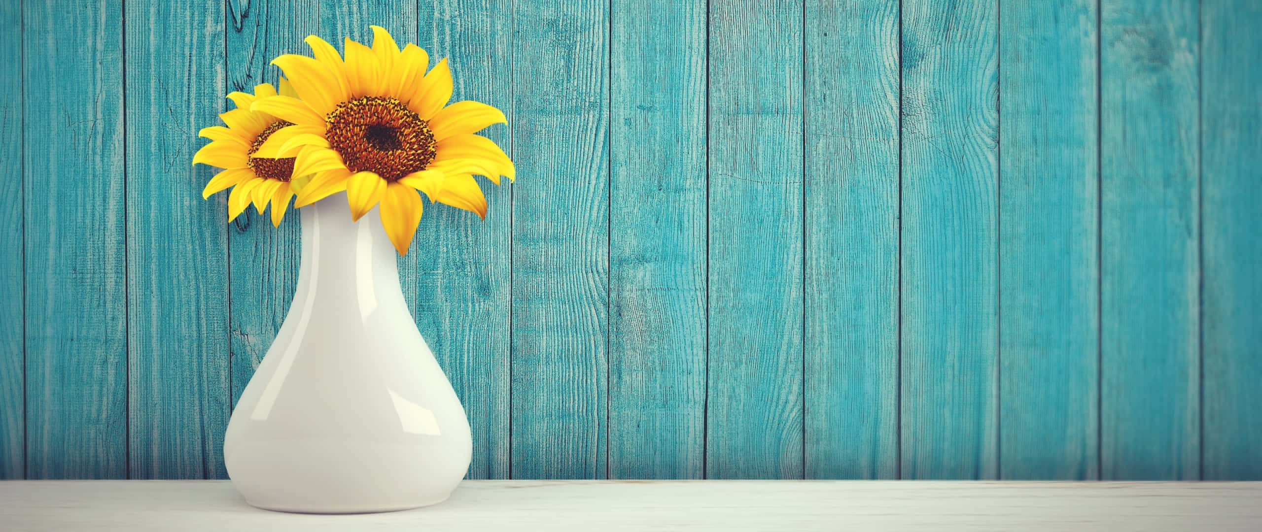 sunflowers, white vase, blue background, 2K Desktop Wallpaper