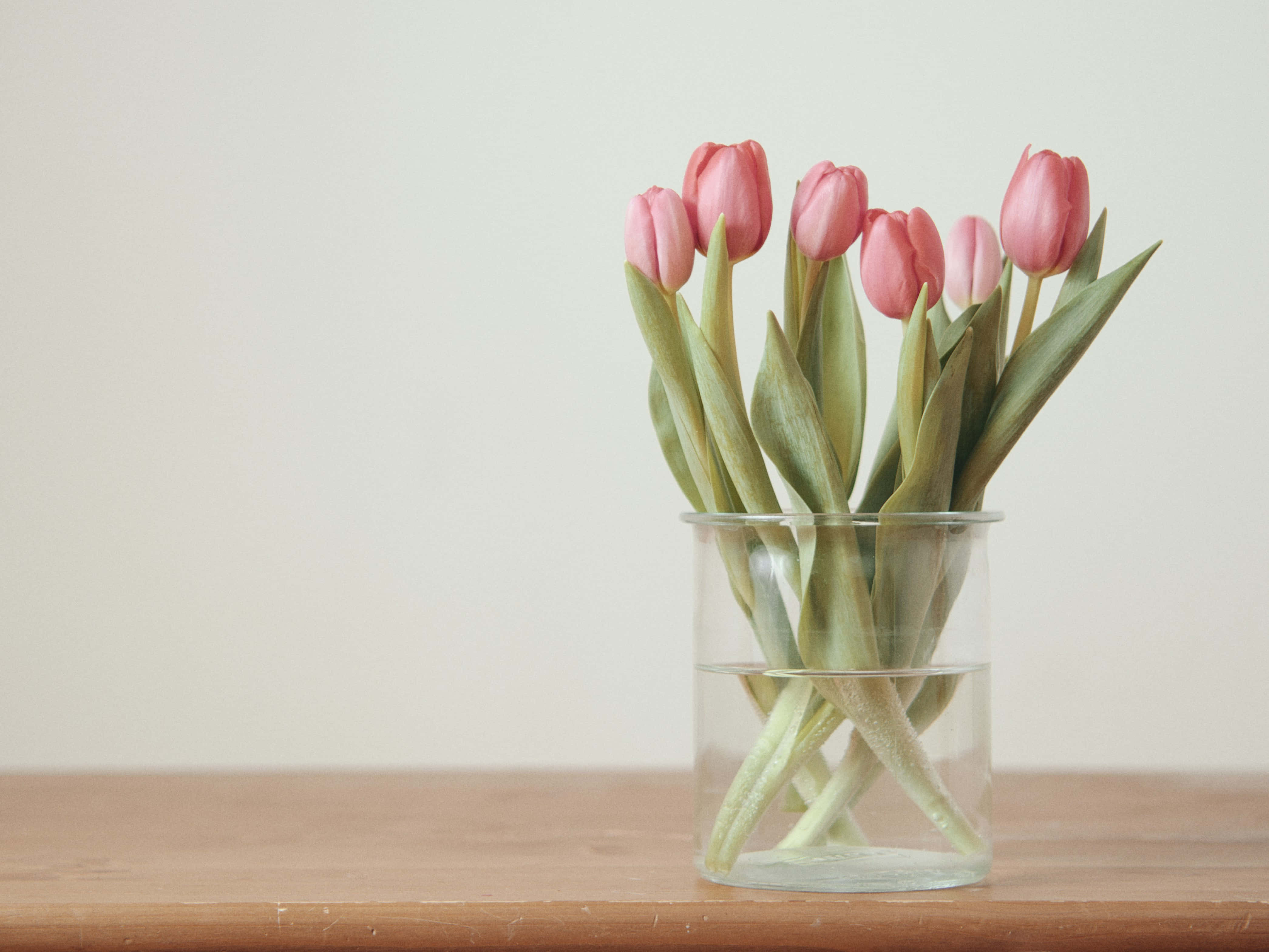 pink tulips, clear glass vase, wooden table, 4K Desktop Wallpaper