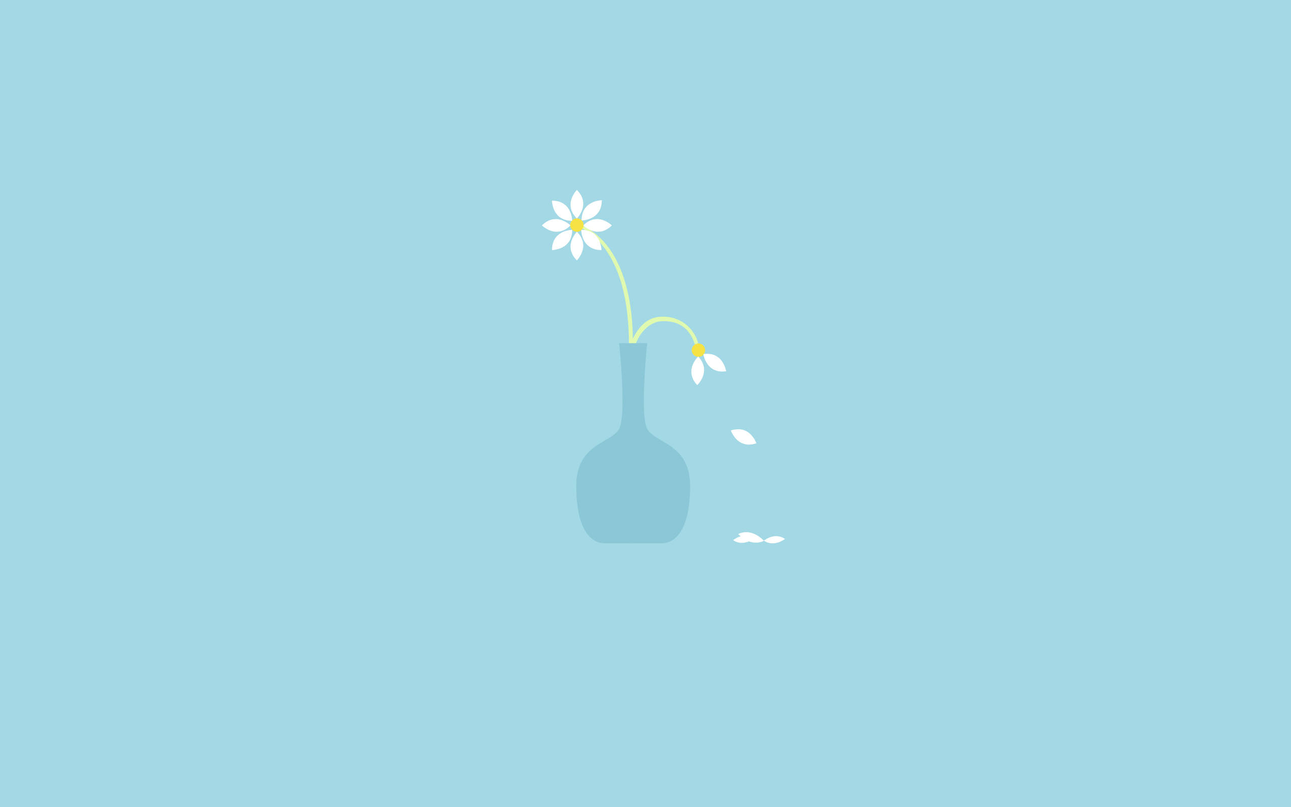 minimalist flower computer, daisy, blue vase, 2K Desktop Wallpaper