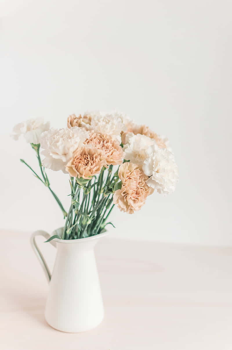 blush and white carnations, white ceramic pitcher, pale pink surface, SD Phone Wallpaper