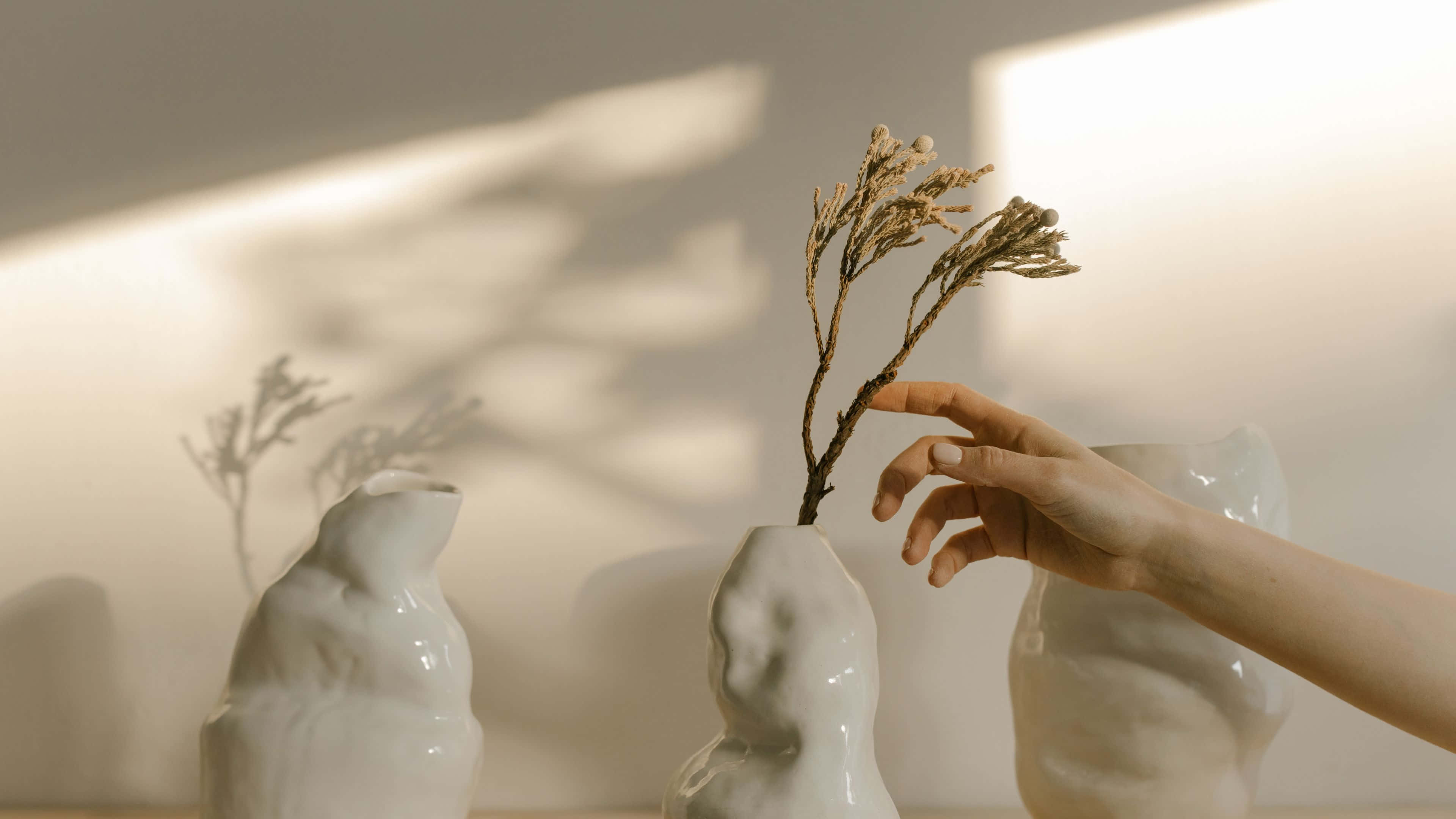 white ceramic vase, dried branch, sunlight, 4K Desktop Wallpaper