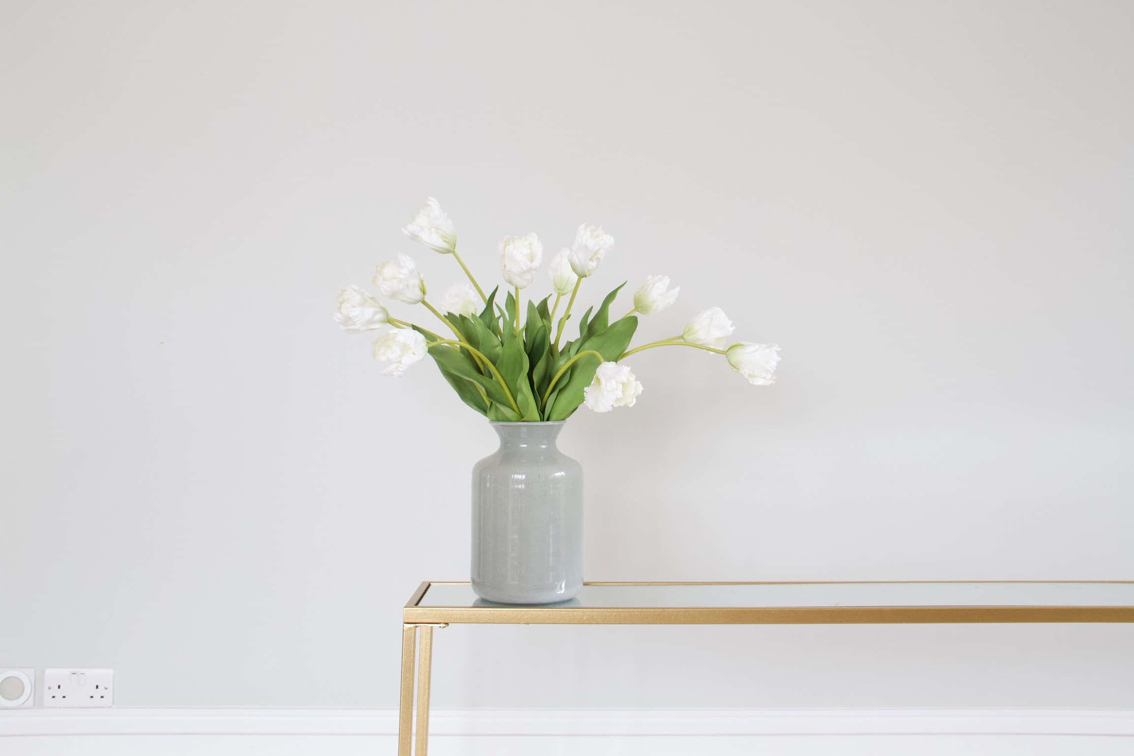 elegant white tulipsin vase, white tulips, green stems, Full HD Desktop Wallpaper