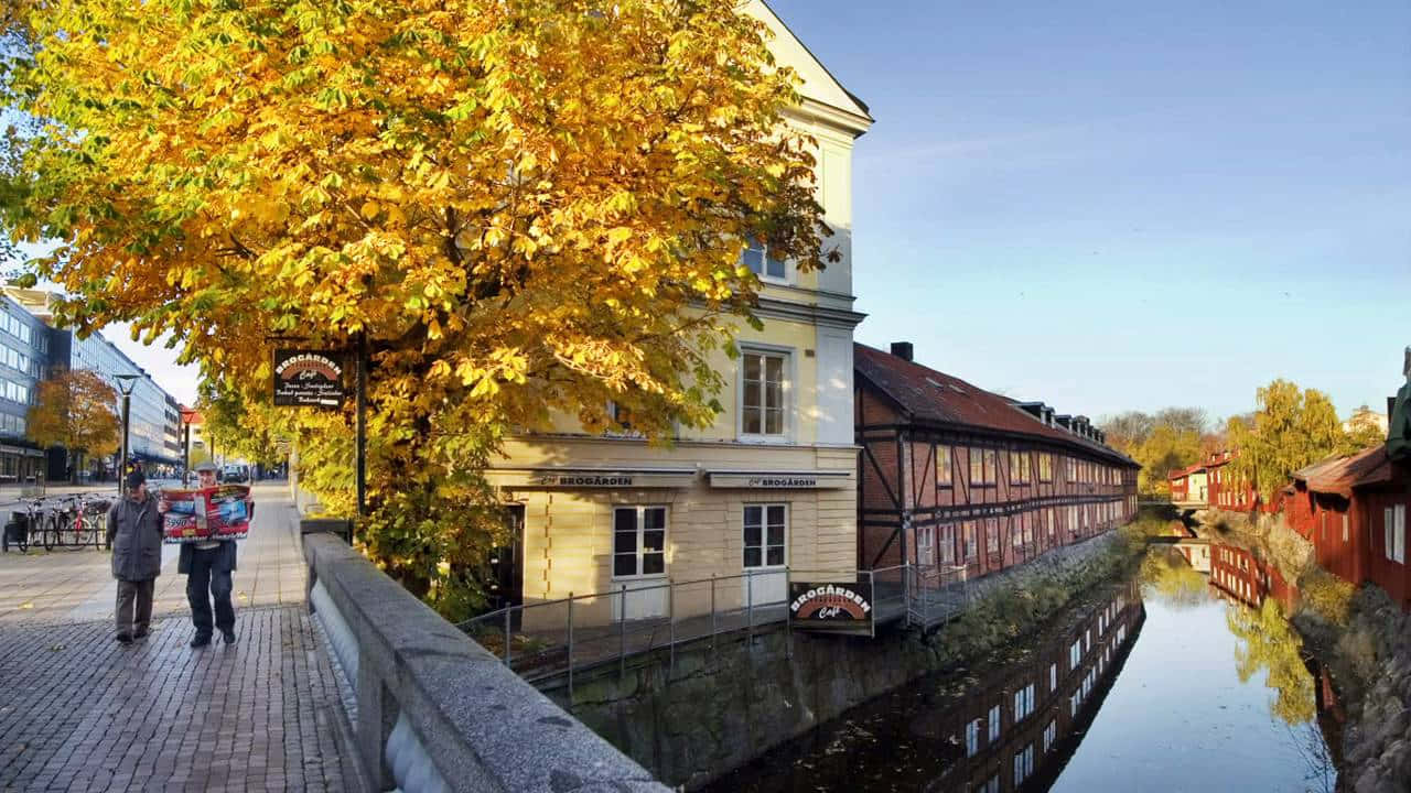Västerås, autumn, cobblestone path, HD Desktop Wallpaper