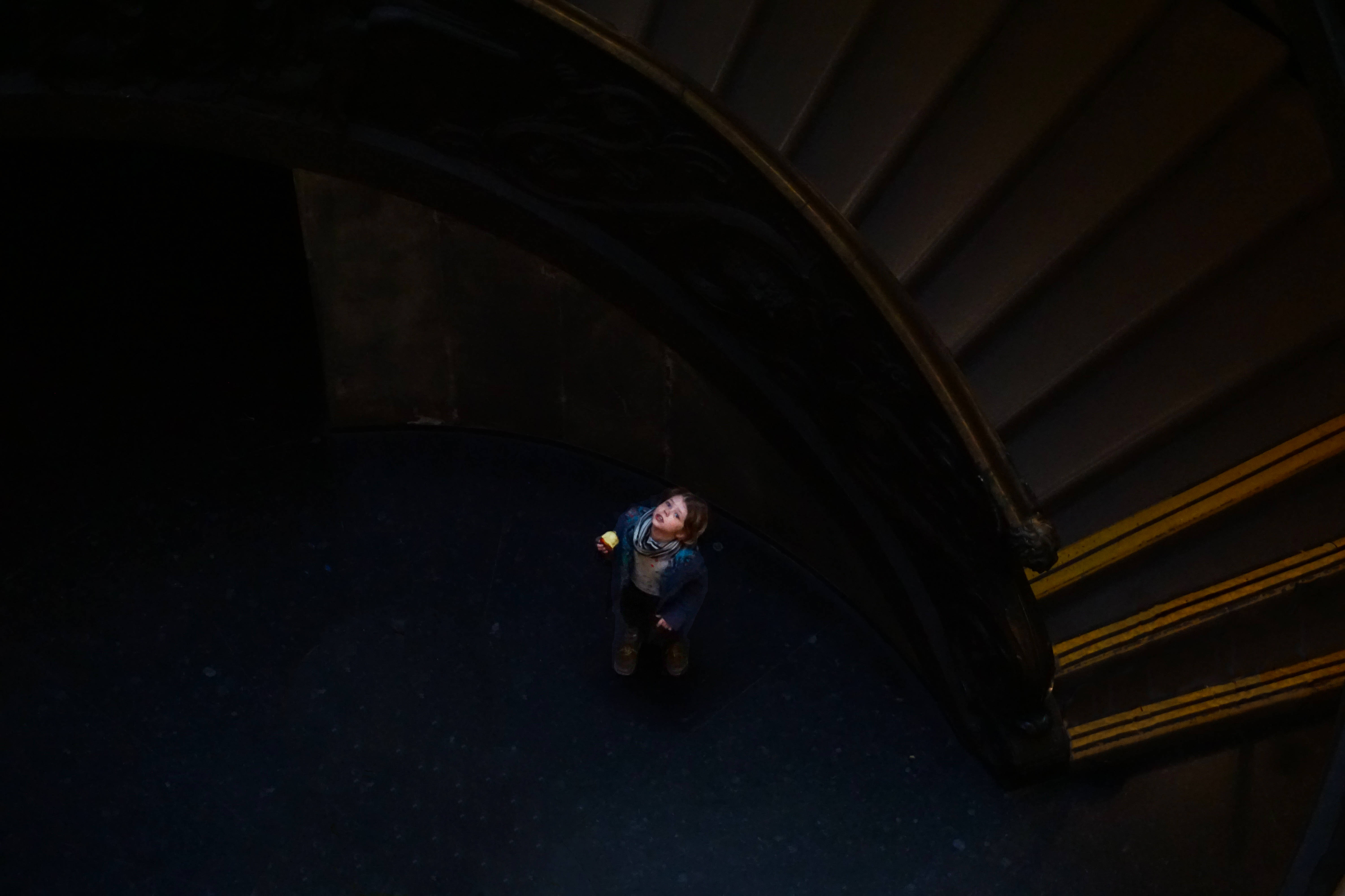 Vatican City, spiral staircase, dark grand spiral staircase, 5K Desktop Wallpaper