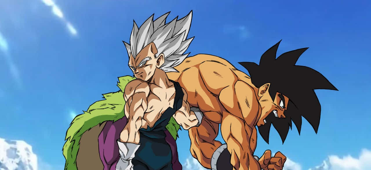 Vegeta, Broly, anime warriors, HD Desktop Wallpaper