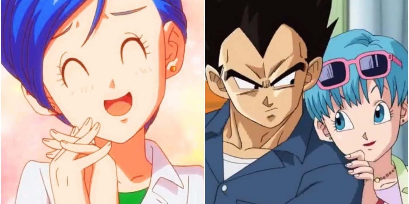 Vegeta, Bulma, Family, HD Desktop Wallpaper