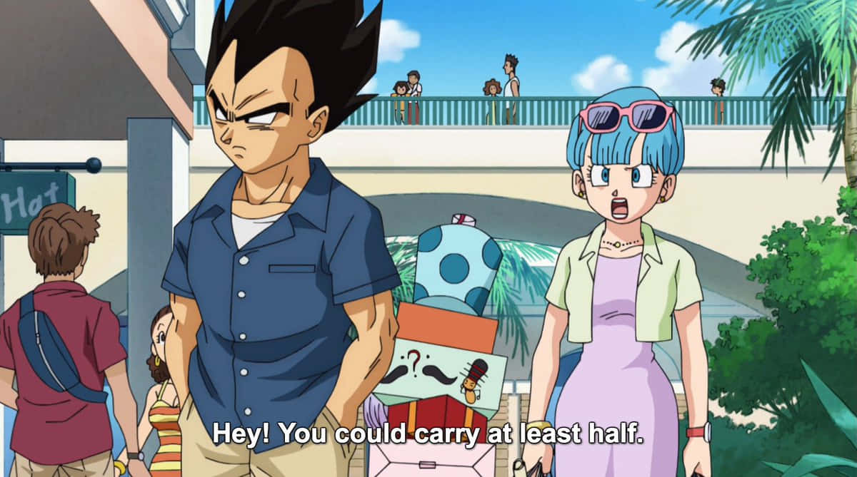 Vegeta, Bulma, tropical town, SD Desktop Wallpaper