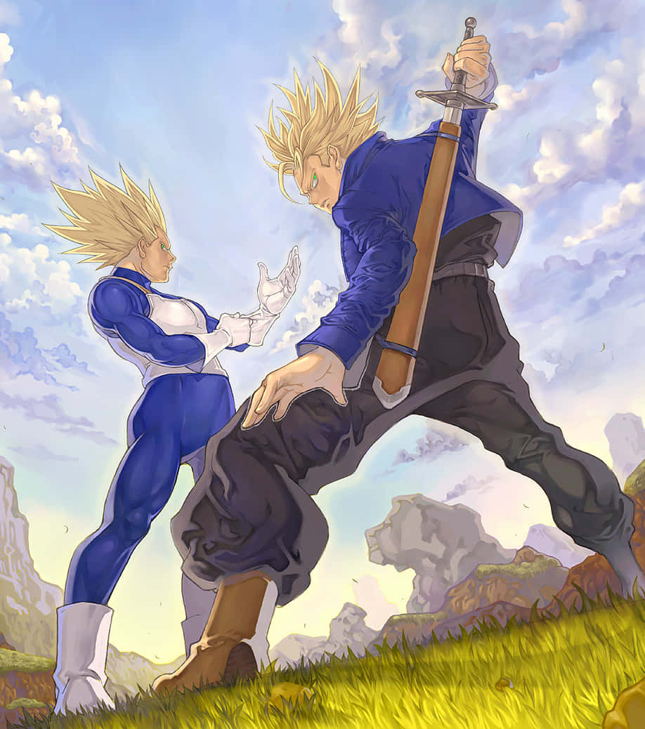 Vegeta, Trunks, grassy hill, SD Phone Wallpaper