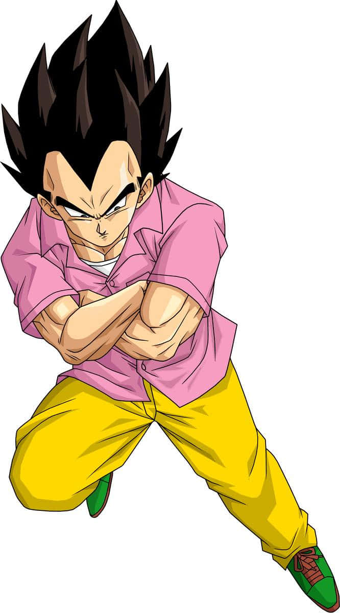 Vegeta, pink shirt, yellow pants, SD Phone Wallpaper