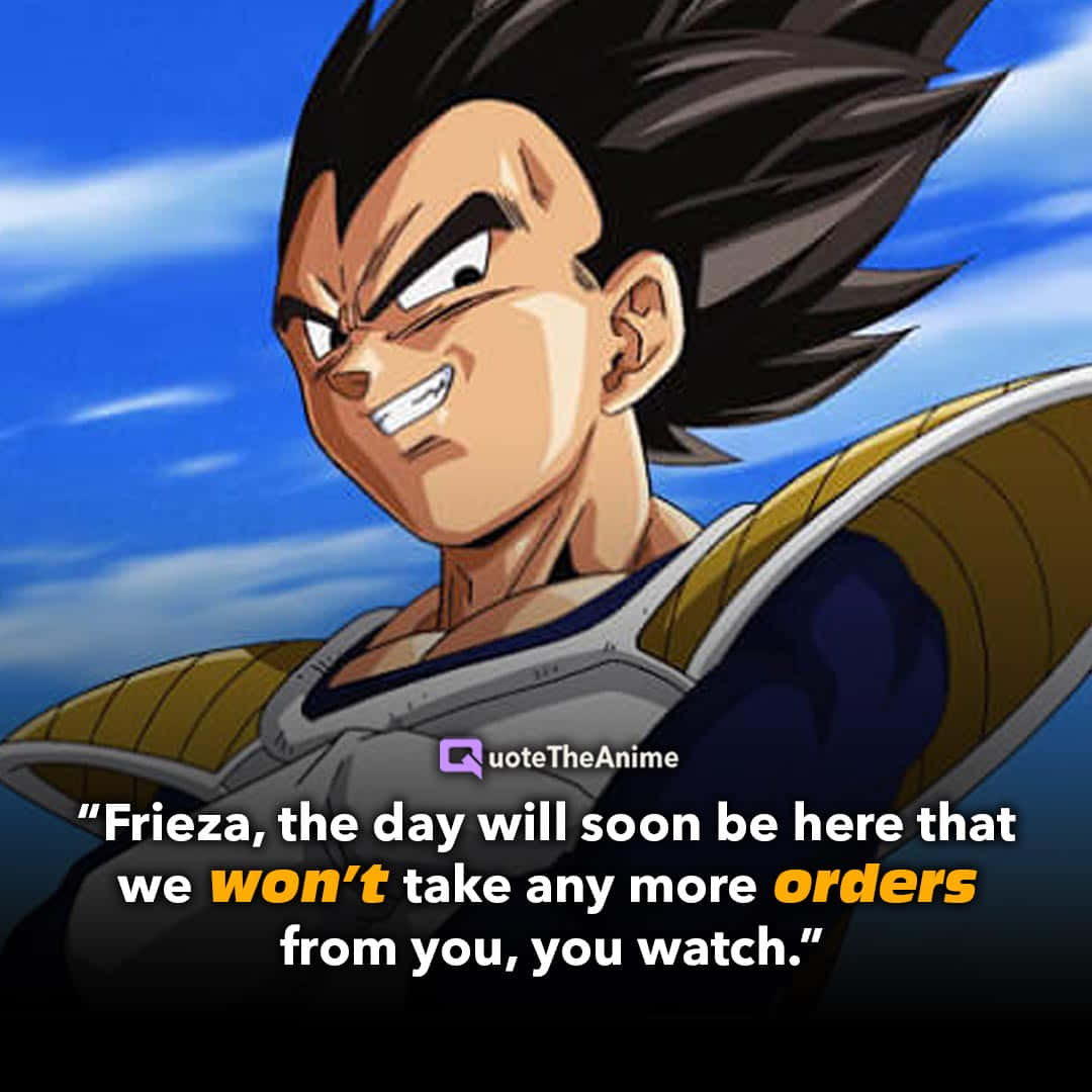 Vegeta, blue sky backdrop, bold text overlay, SD Desktop Wallpaper
