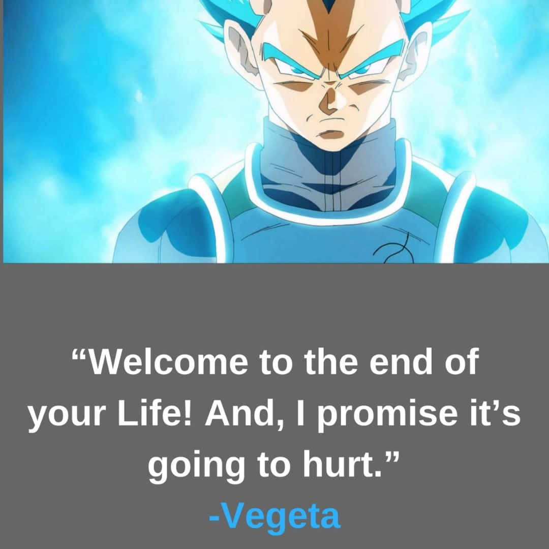 Vegeta, blue armor, glowing aura, SD Desktop Wallpaper