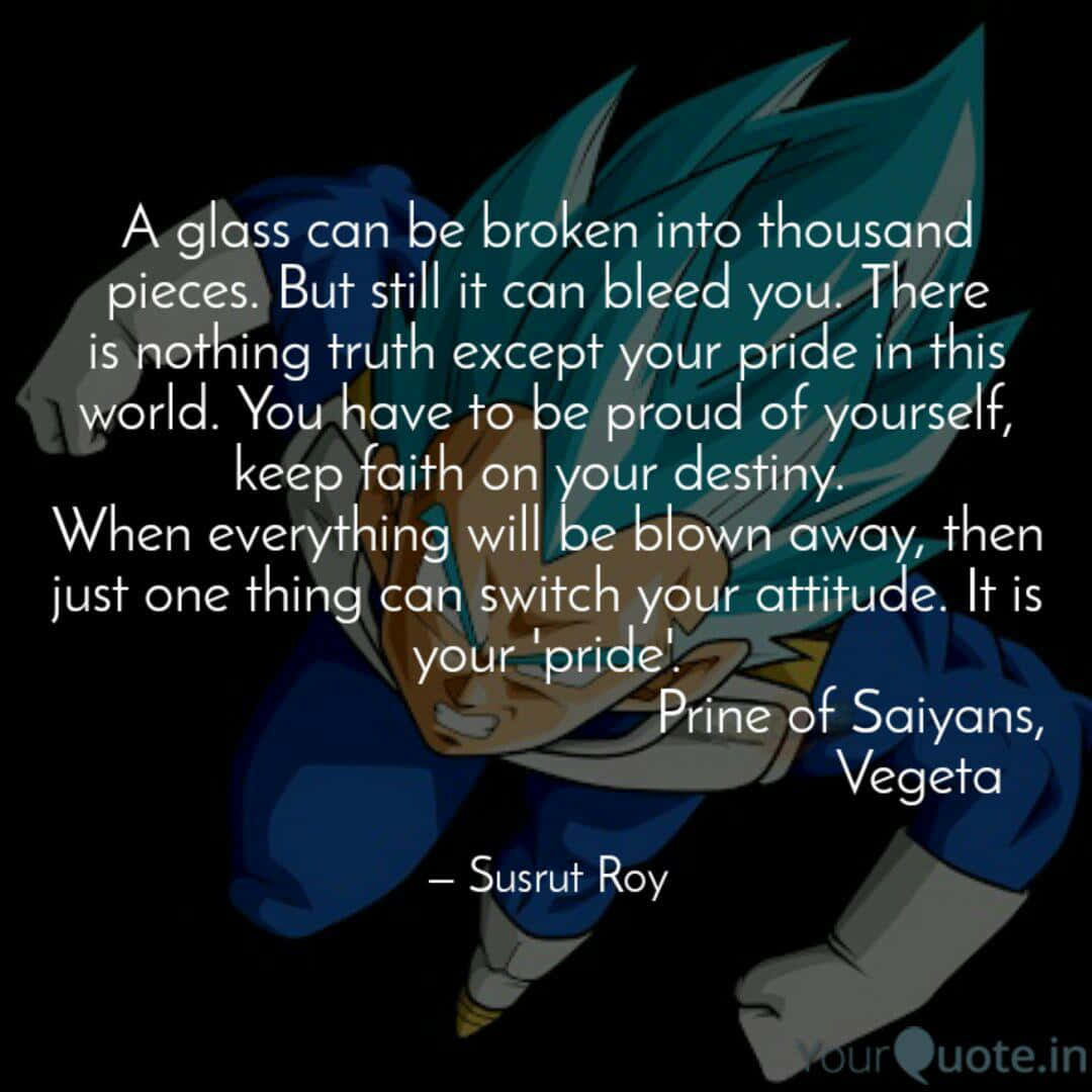 Vegeta, blue armor, spiky hair, SD Desktop Wallpaper