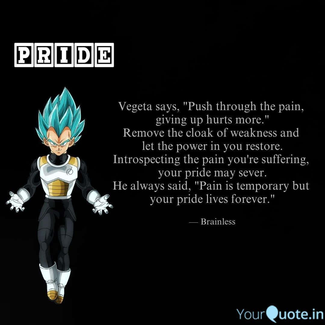 Vegeta, blue spiky hair, black armor, SD Desktop Wallpaper