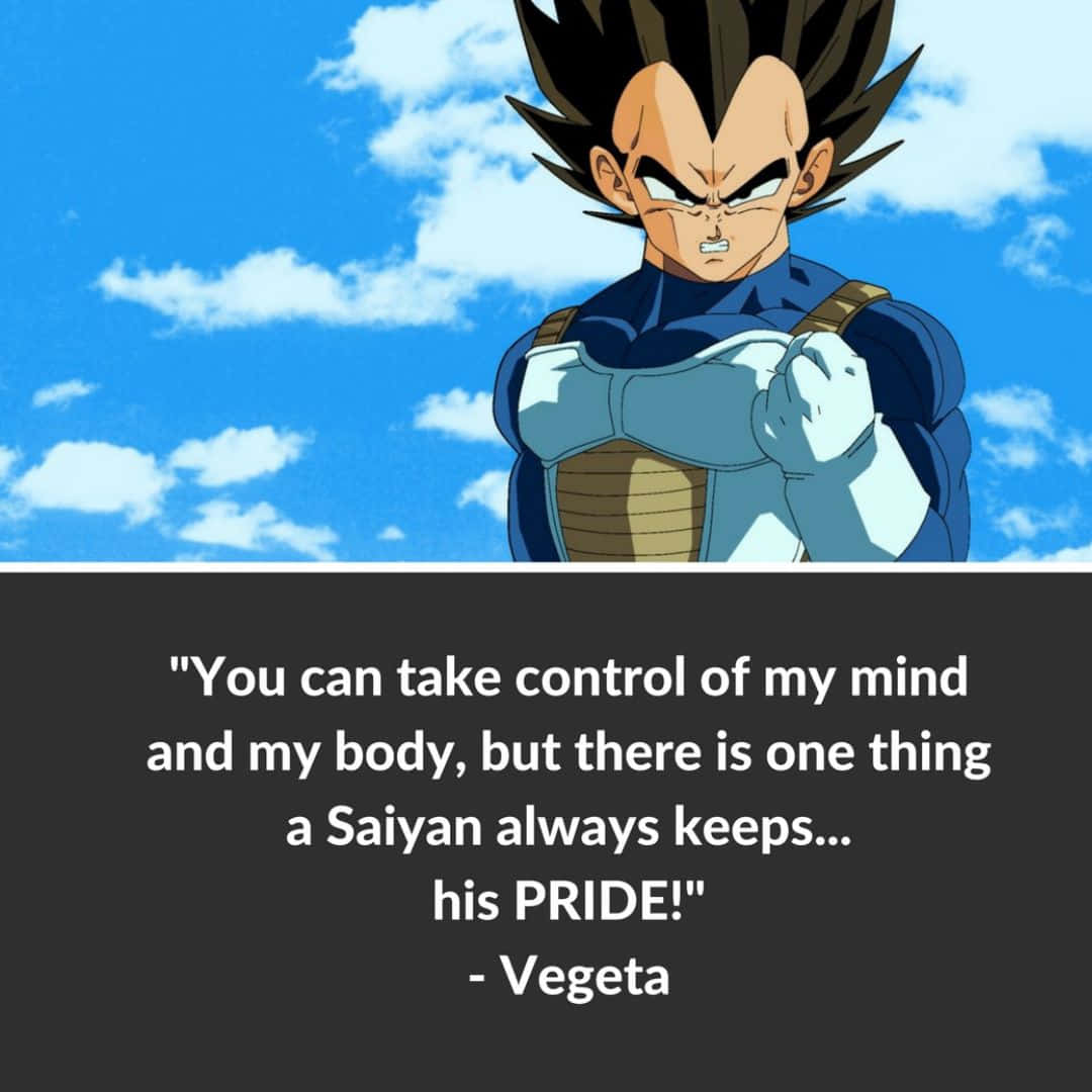 Vegeta, bright blue sky, white clouds, SD Desktop Wallpaper