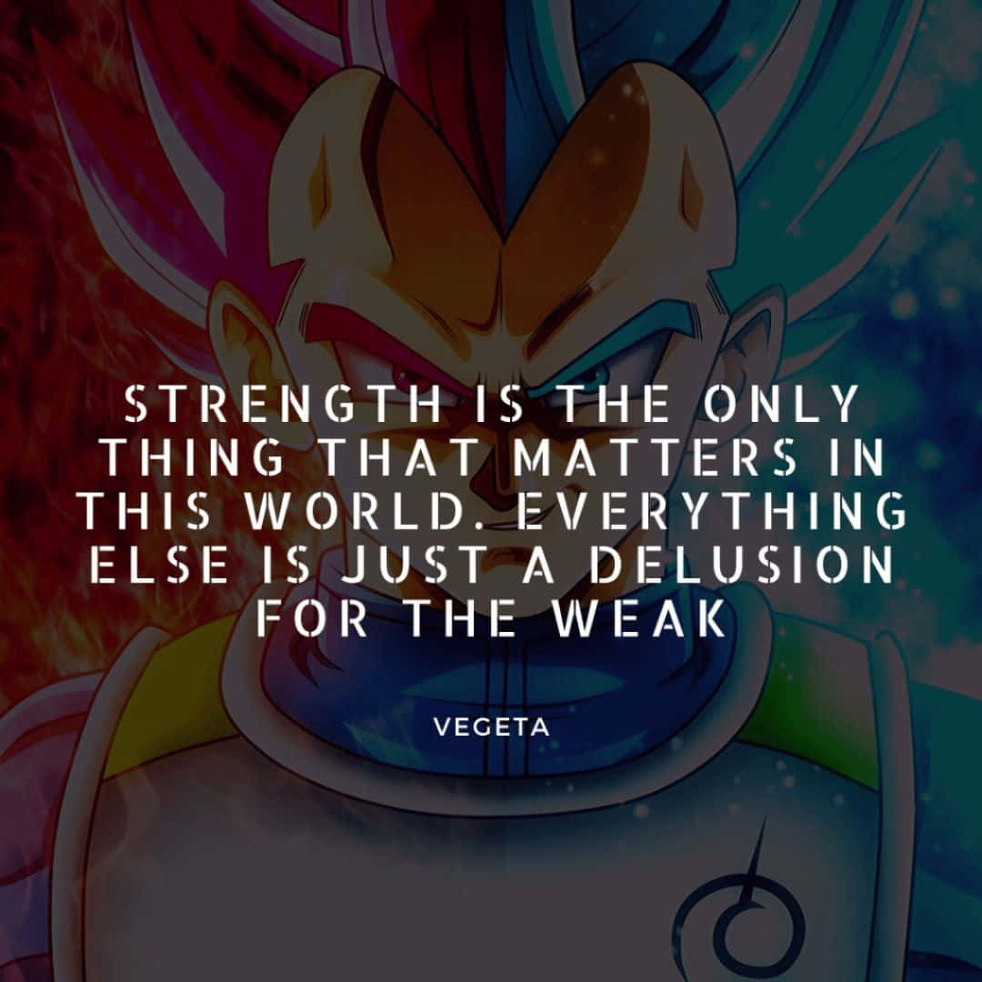 Vegeta, fiery hair, intense expression, SD Desktop Wallpaper