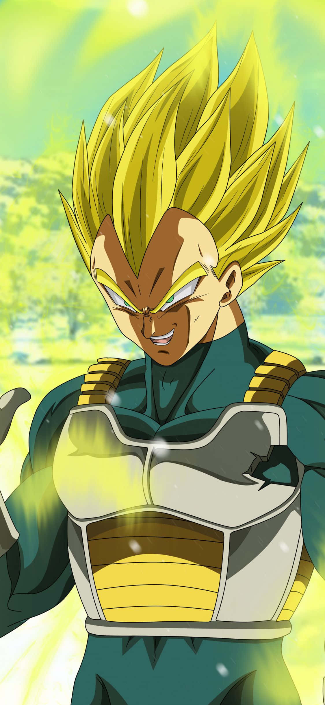 Vegeta Super Saiyan 2, spiky golden hair, glowing aura, Full HD Phone Wallpaper