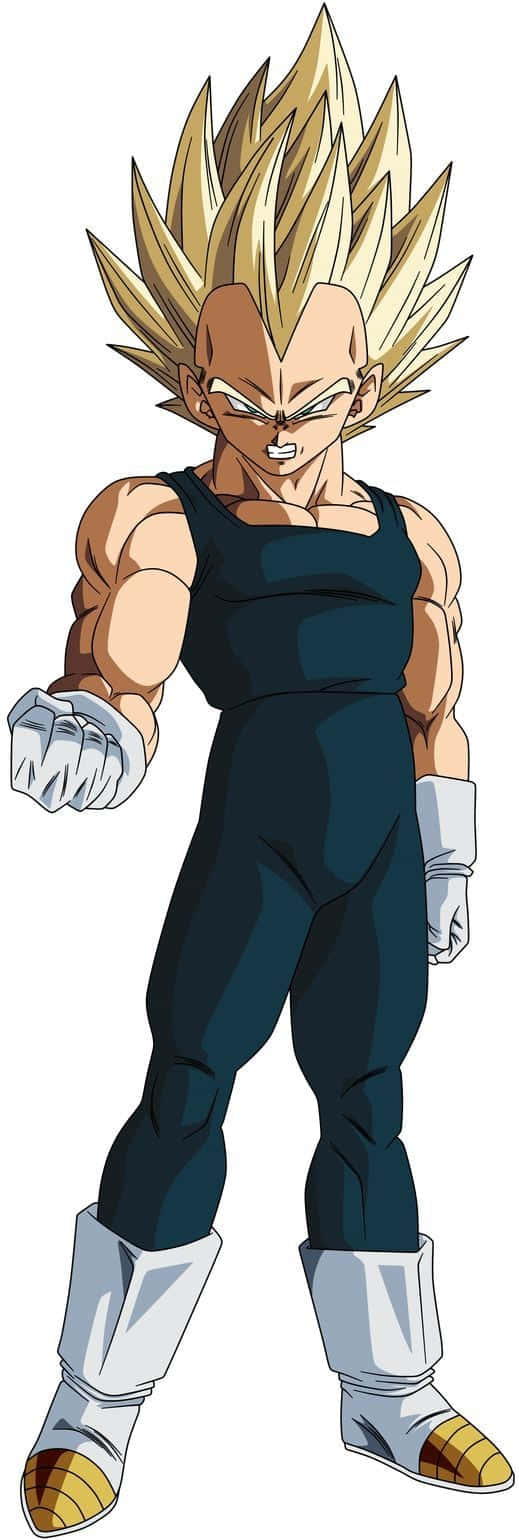 Vegeta, Super Saiyan 2, spiky golden hair, HD Phone Wallpaper
